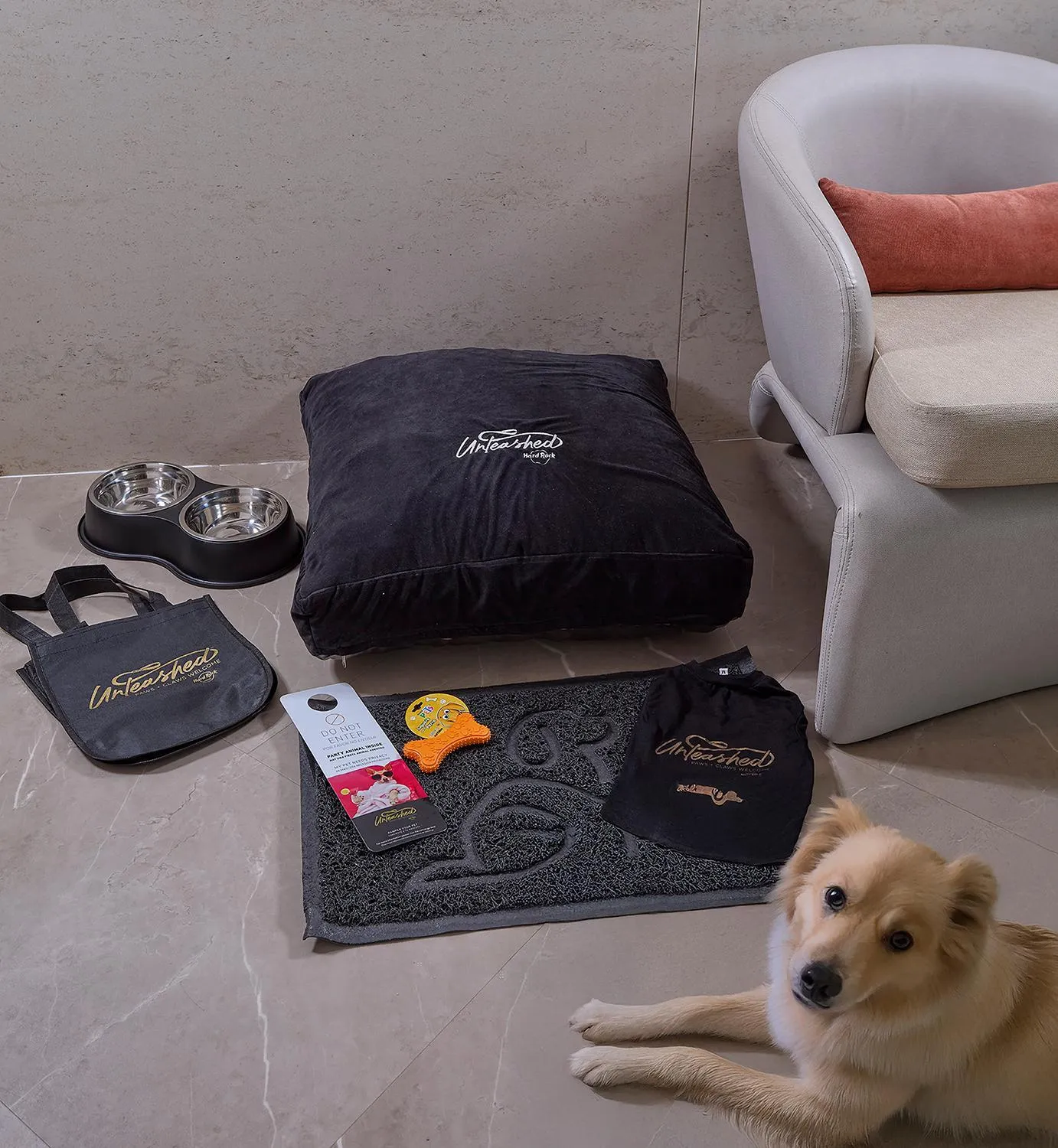 pet friendly in Hard Rock Hotel Cancun - All Inclusive