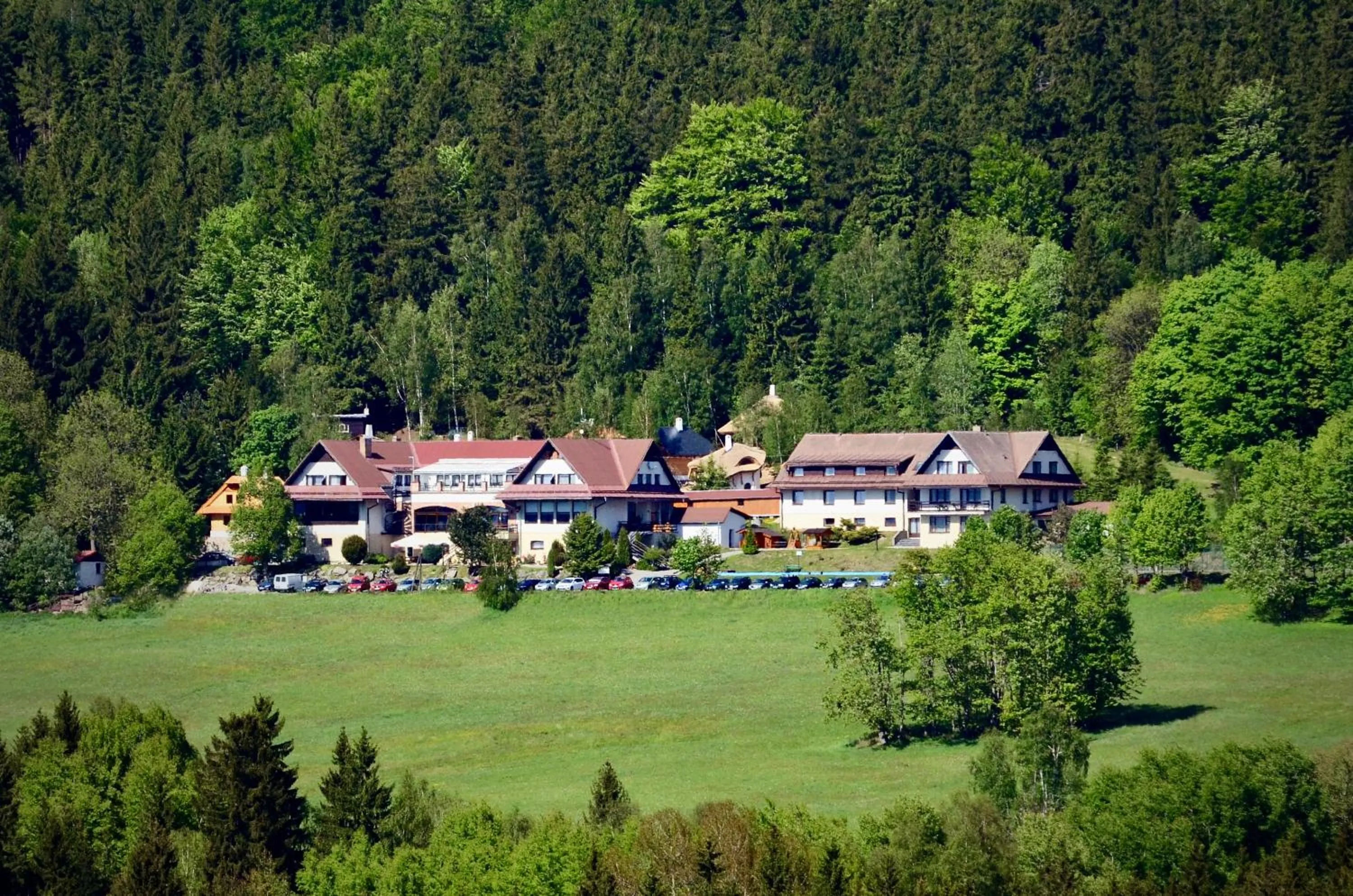 Hotel Podlesí