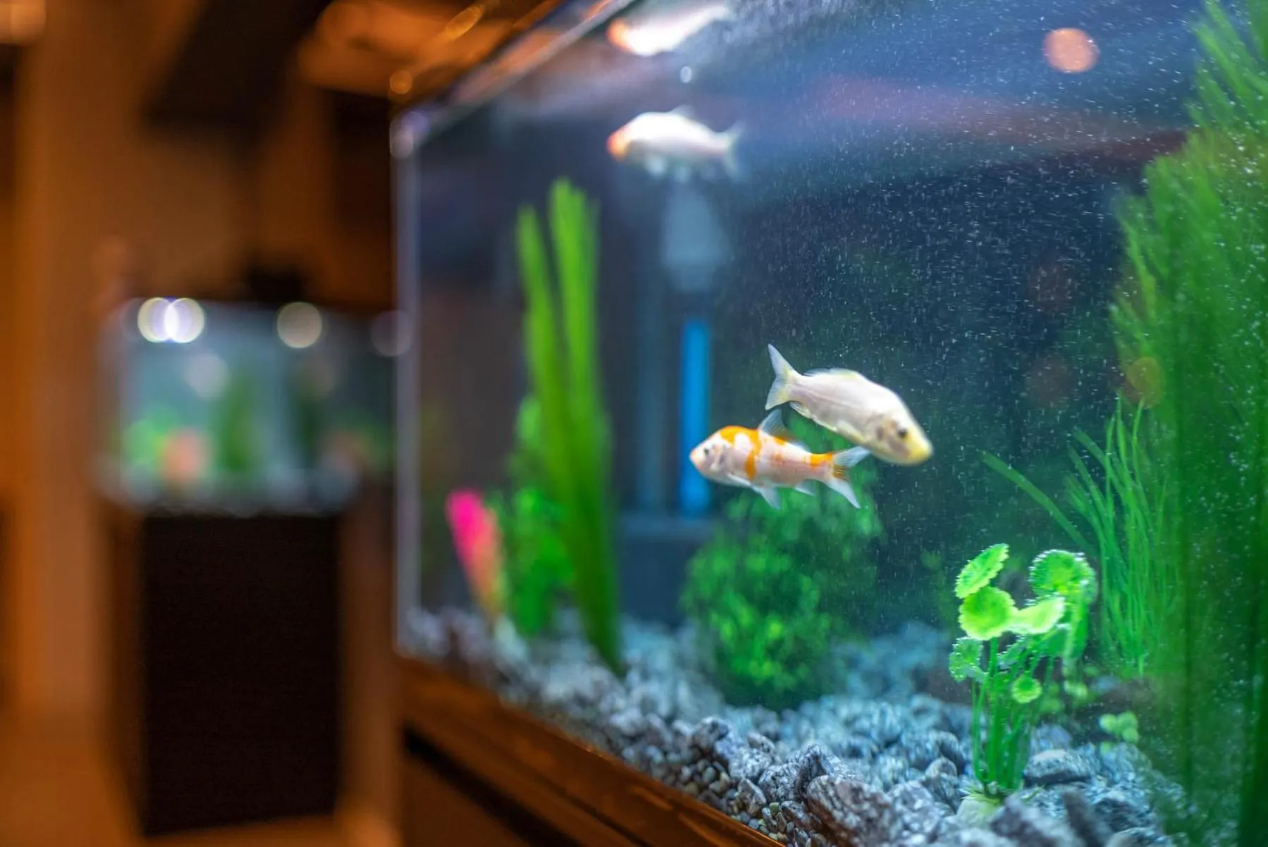 Lobby or reception in WELLSTAY Shinsekai Wakyo