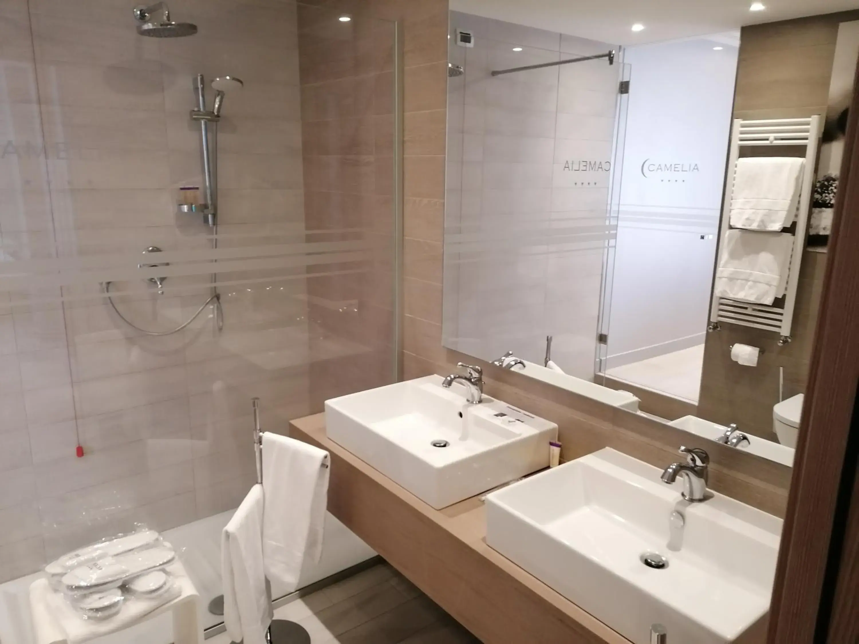 Junior Suite in Hotel Camelia Junior Suite in Hotel Camelia