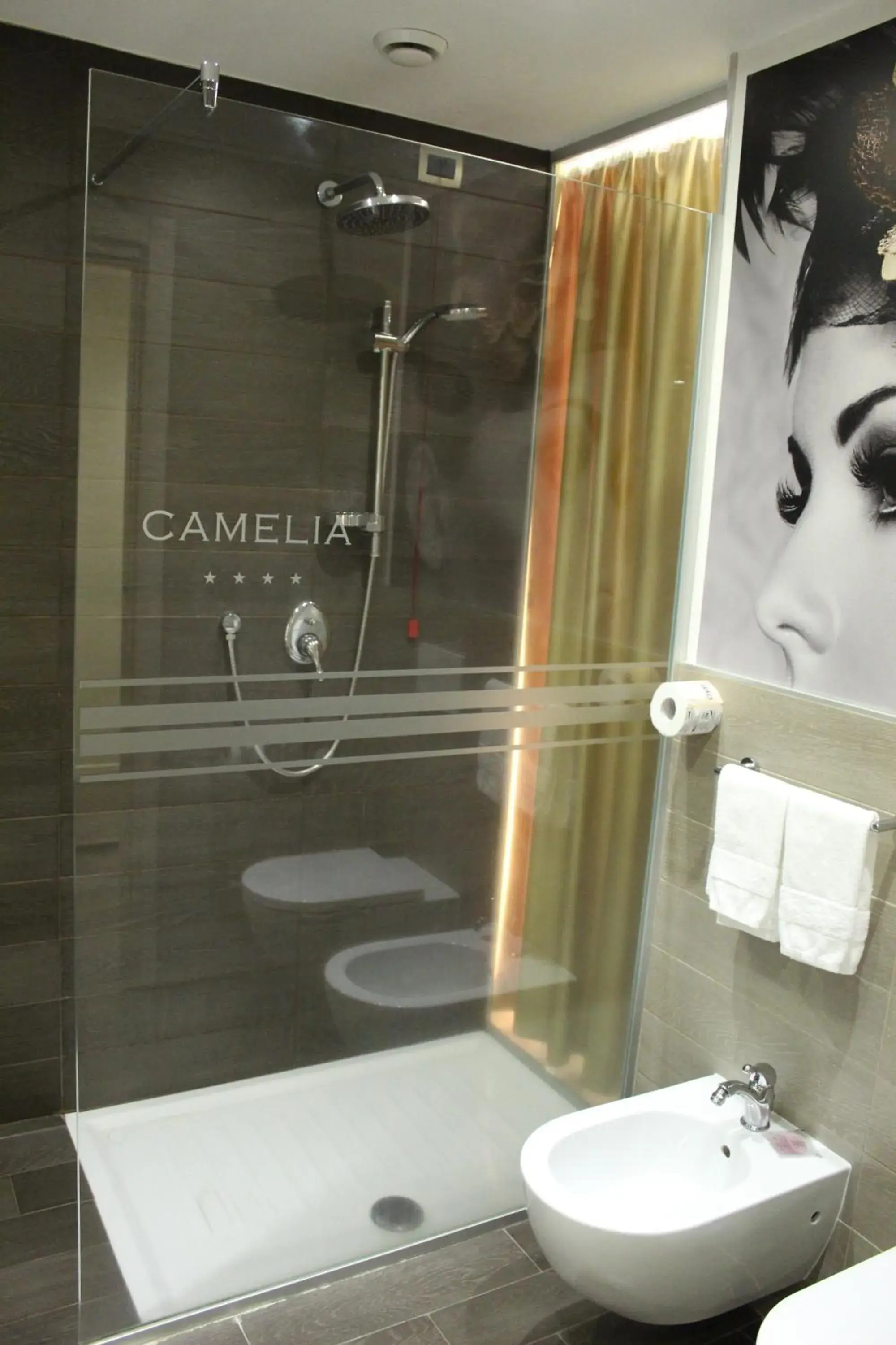 Standard Double or Twin Room - single occupancy in Hotel Camelia Standard Double or Twin Room - single occupancy in Hotel Camelia