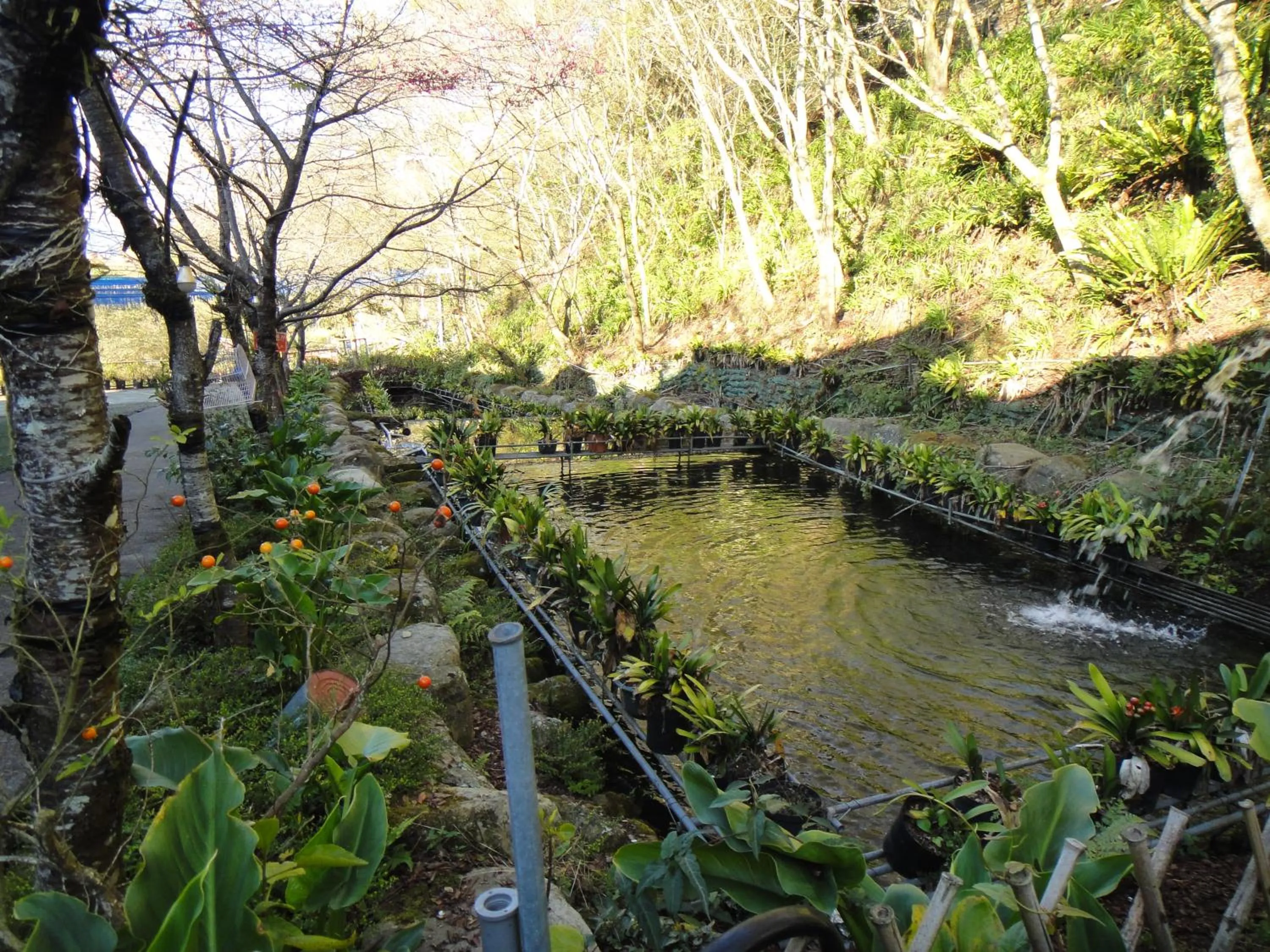 Garden in Bunbury Fruit Ranch B&B
