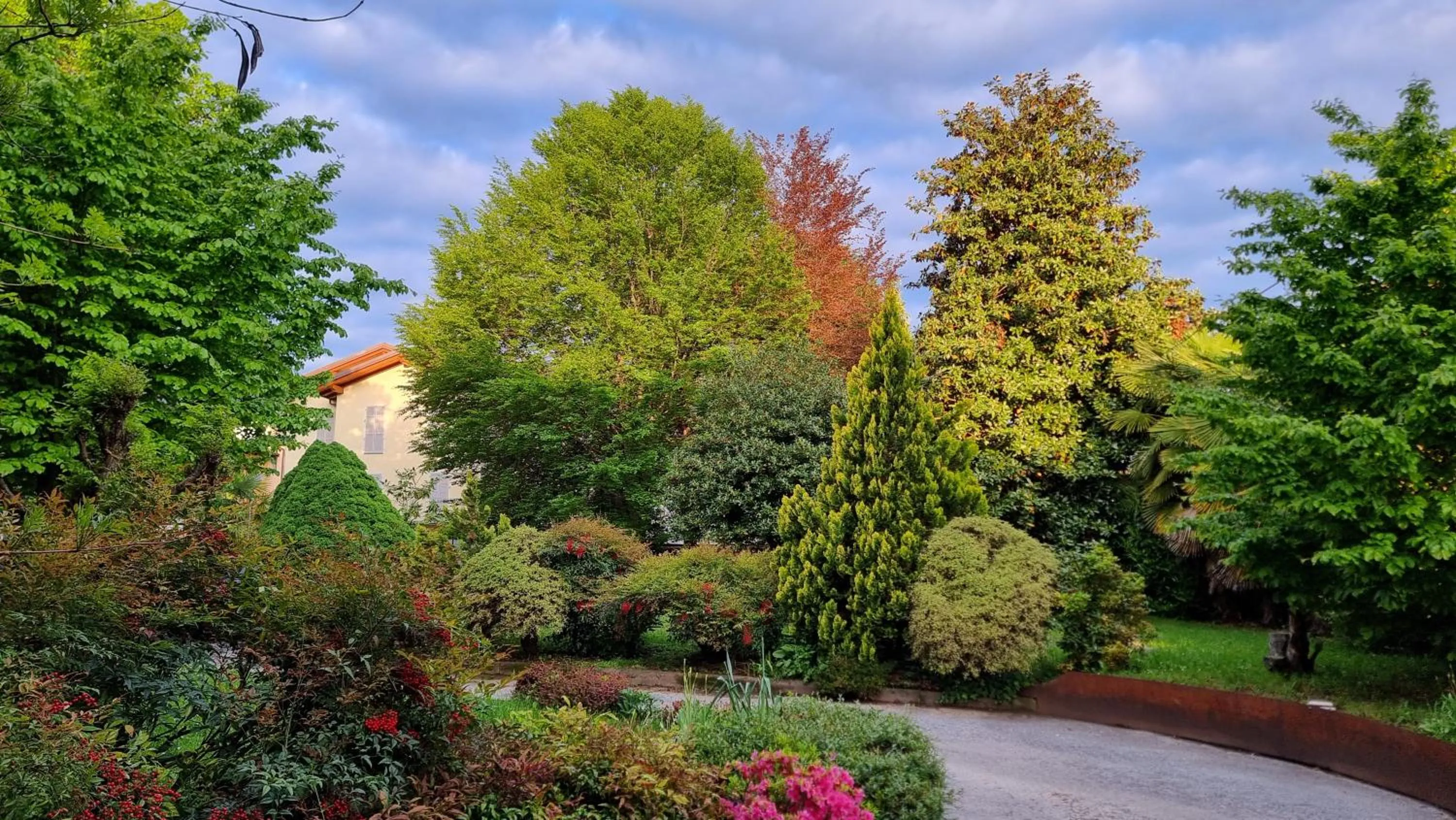 Albergo Ristorante Trieste Boves