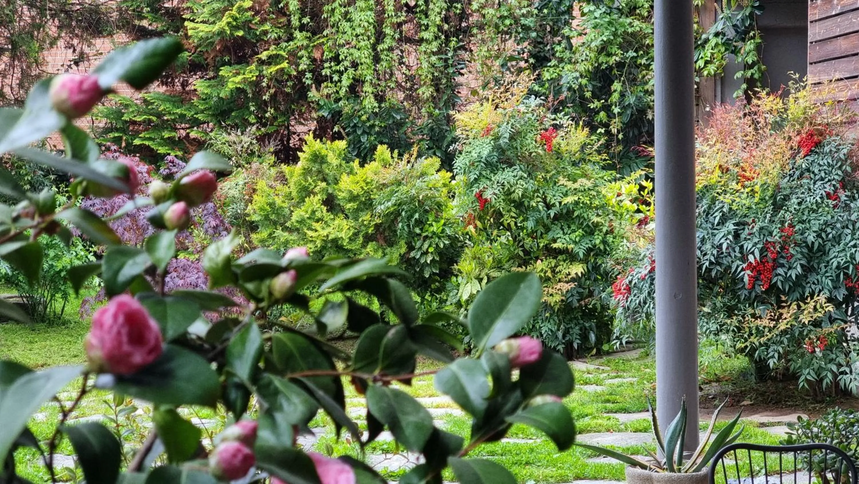 Albergo Ristorante Trieste Boves