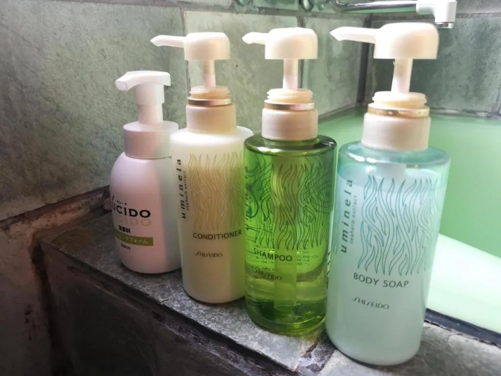 Bathroom in Cottage Hotel Fenice Hakuba