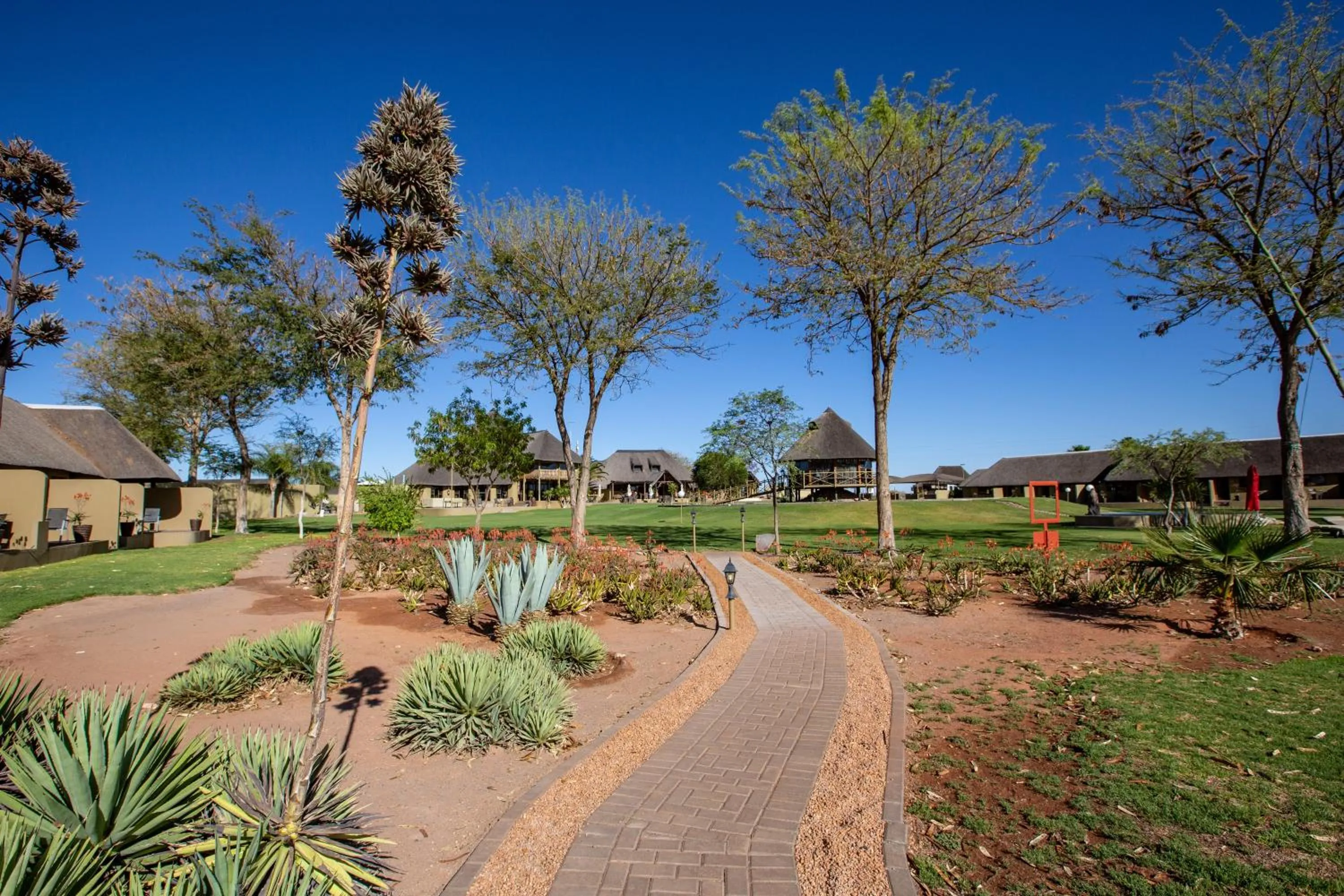 View (from property/room) in Lapa Lange Game Lodge