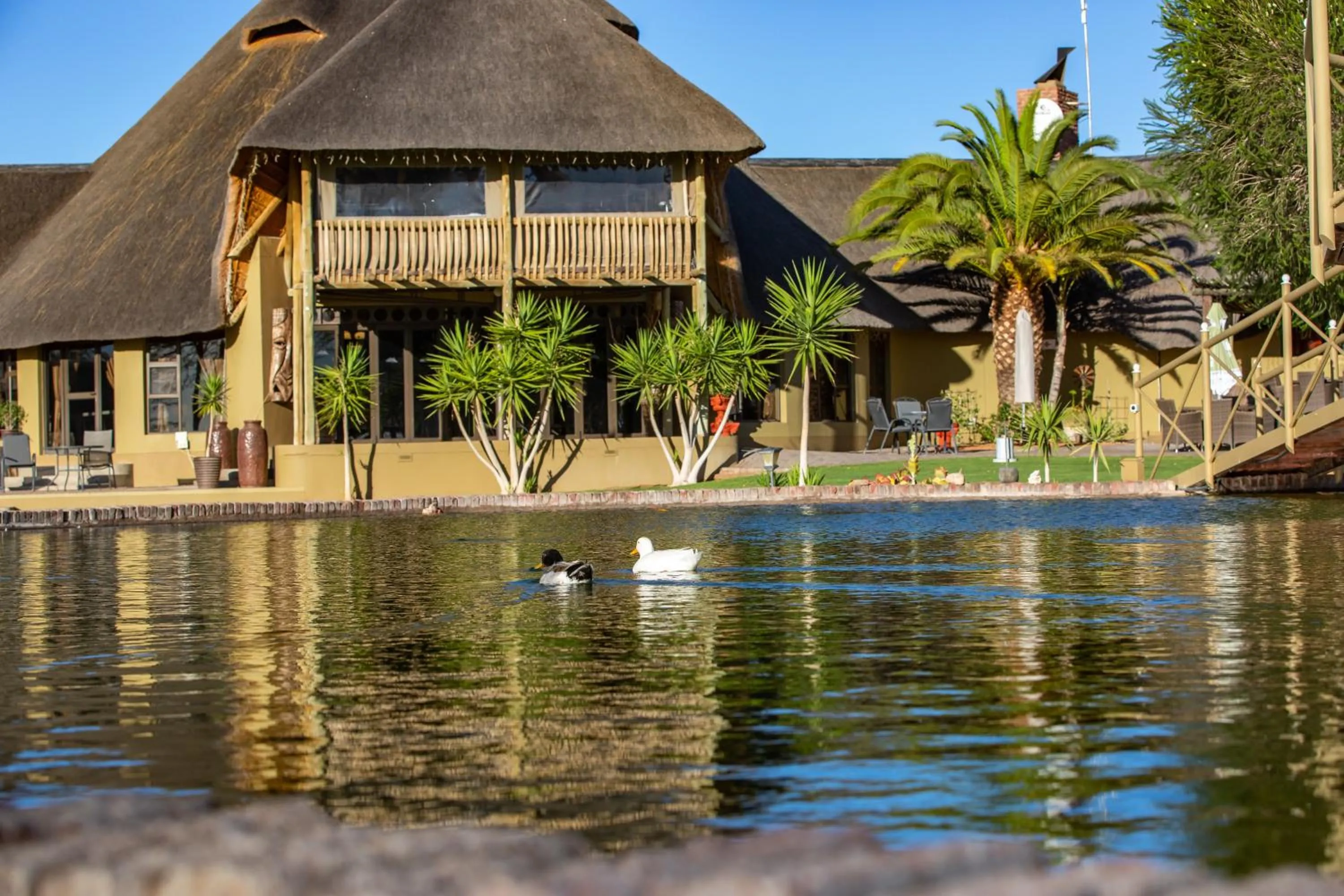 Banquet/Function facilities in Lapa Lange Game Lodge