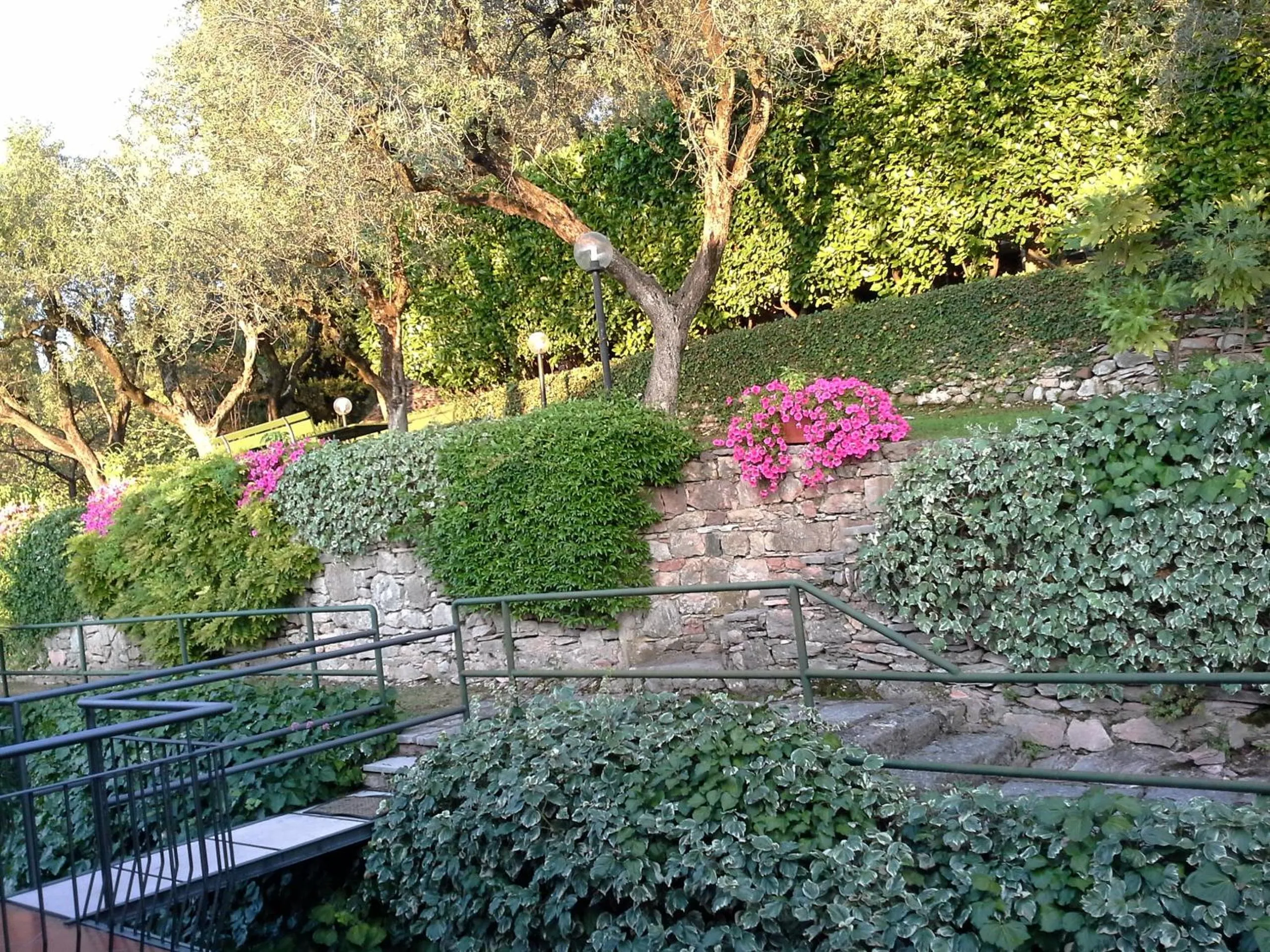 Garden in beb my lake