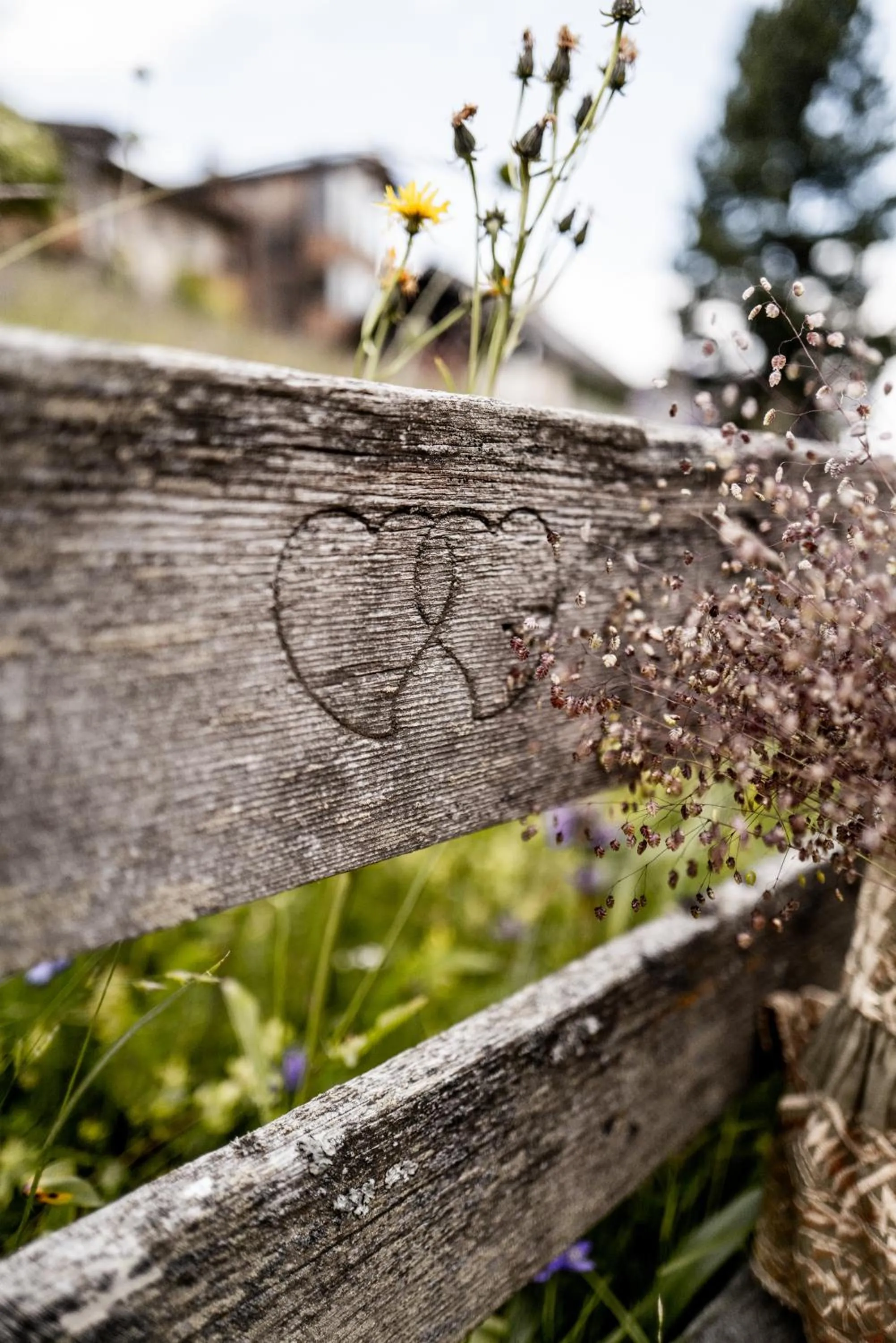 Property building in Der Zirmerhof