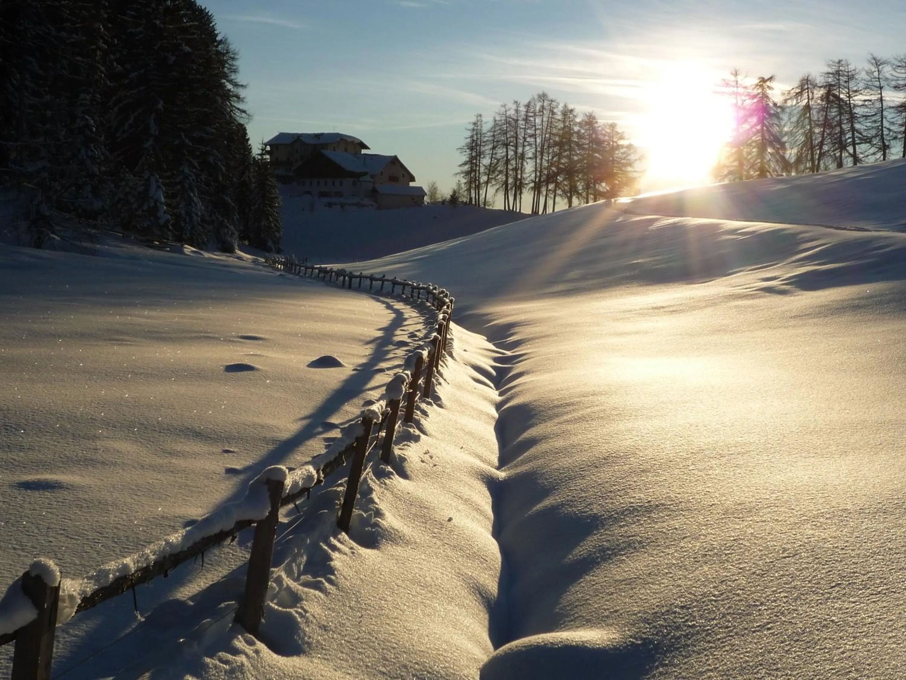 Area and facilities in Der Zirmerhof