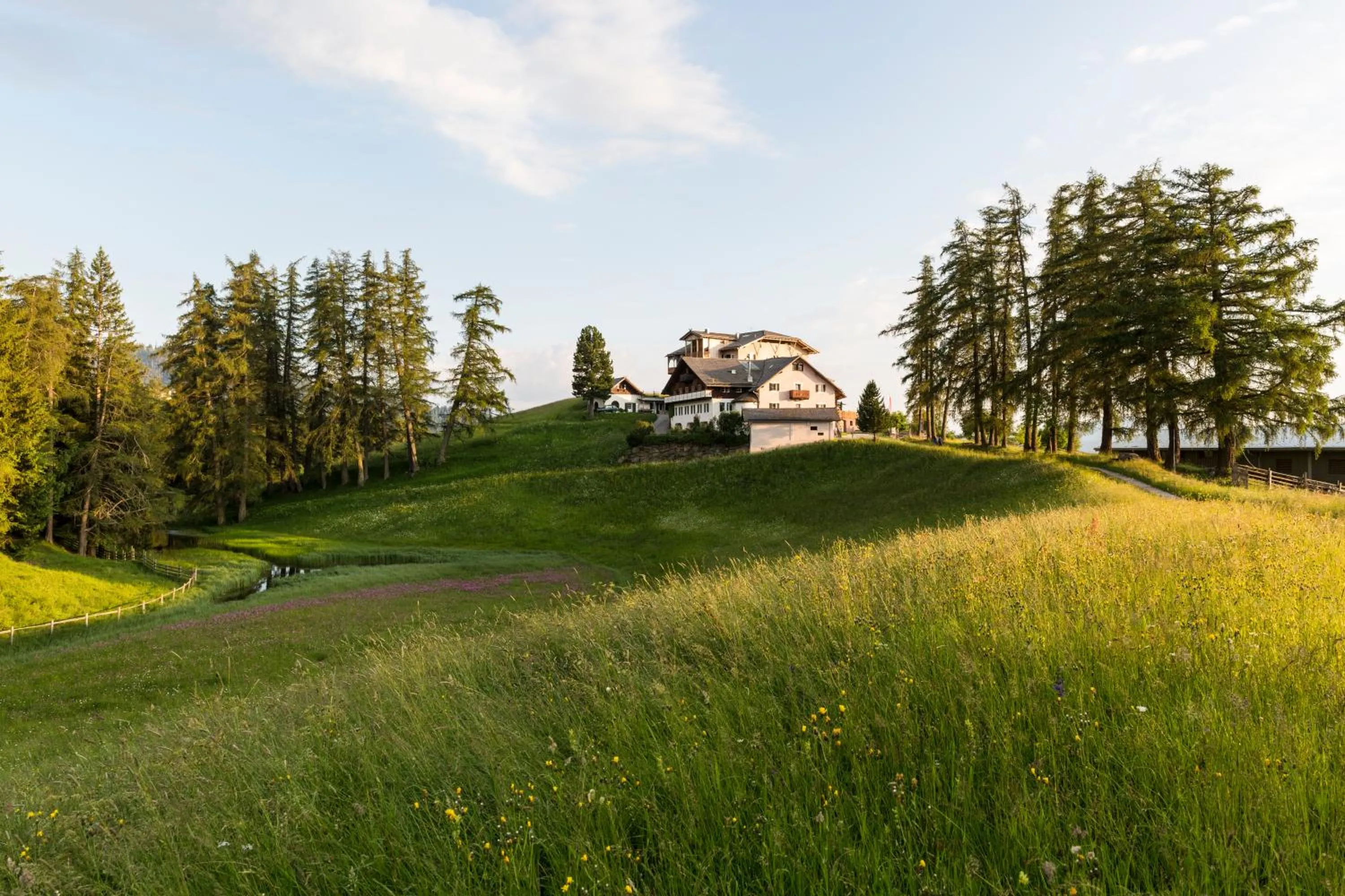 Spring in Der Zirmerhof