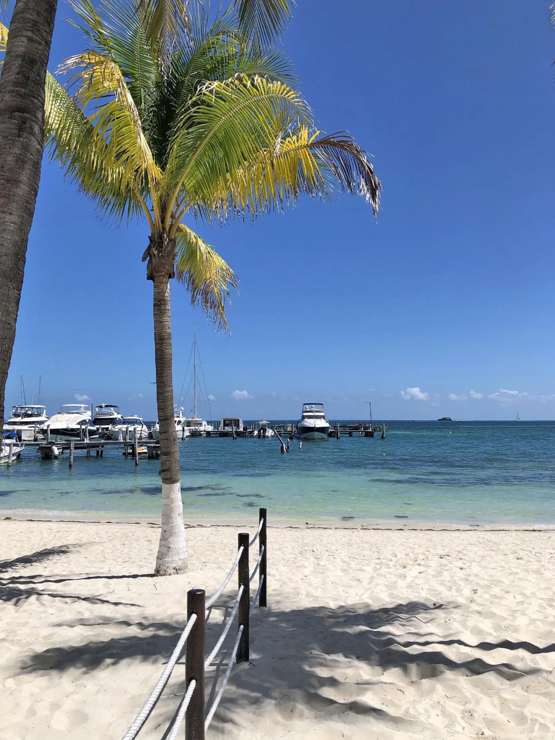 Beach in All Ritmo Cancun Resort & Water Park