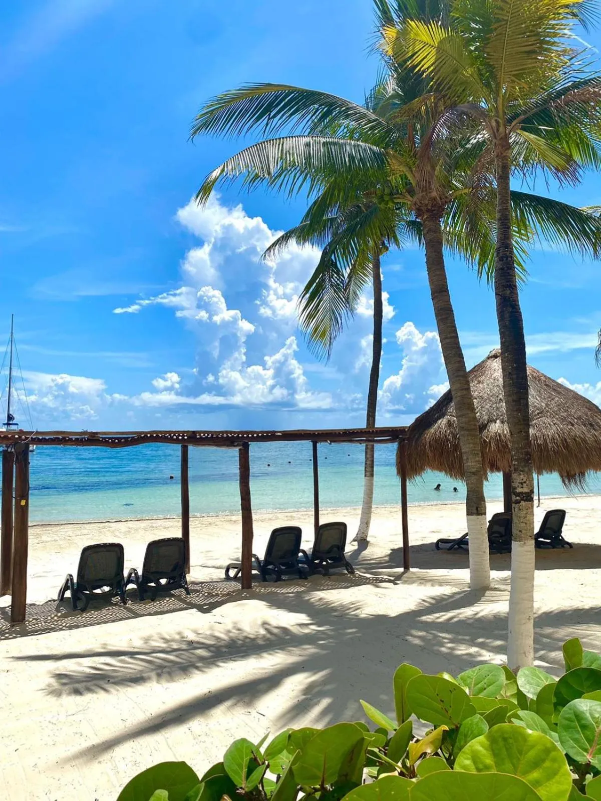 Beach in All Ritmo Cancun Resort & Water Park