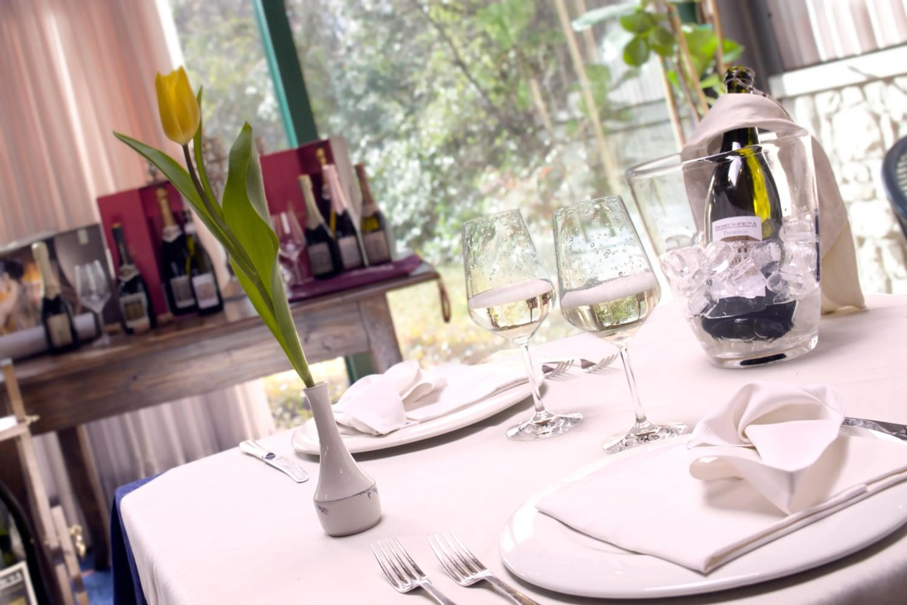 Restaurant/places to eat in Hotel Diana