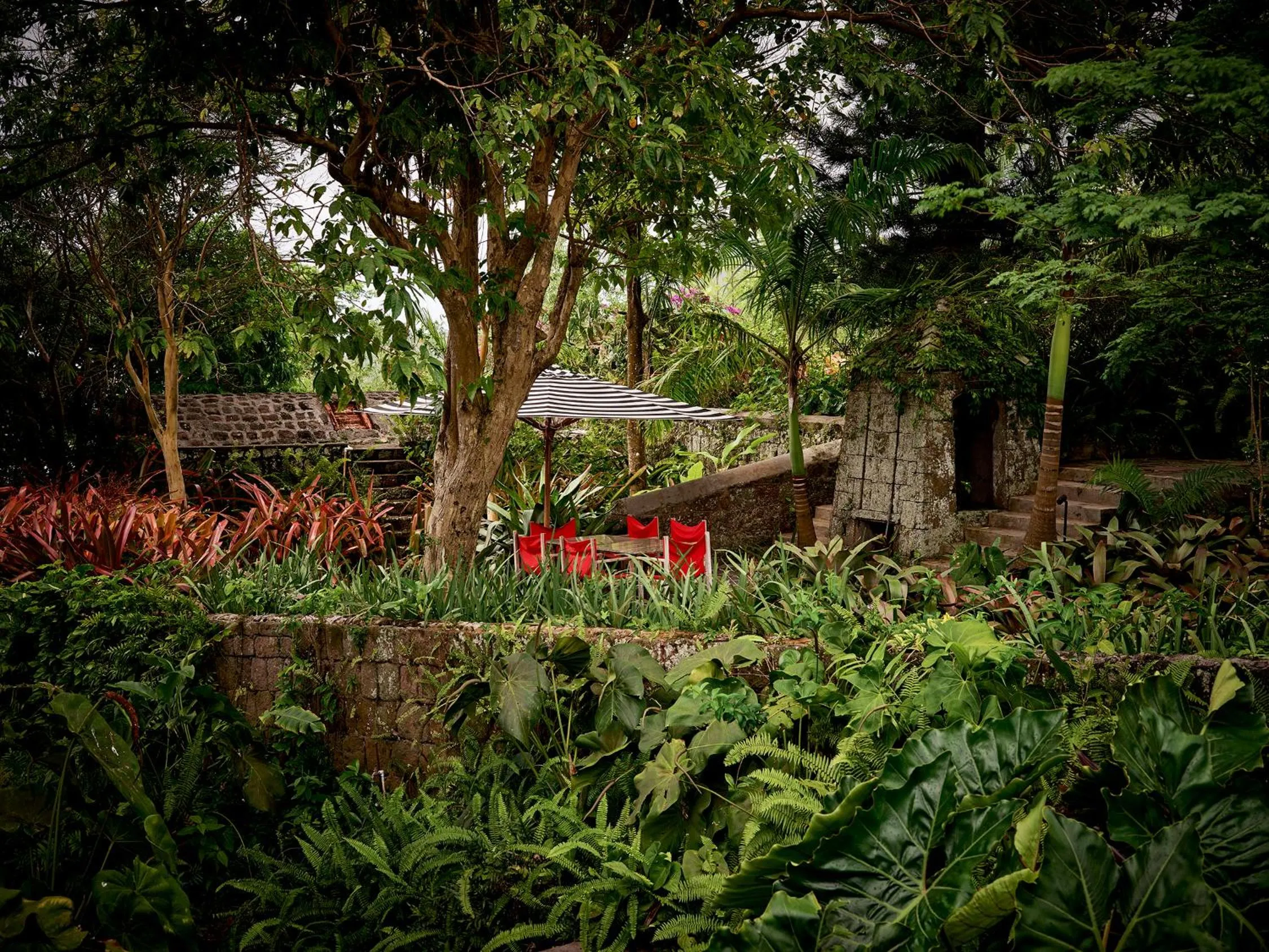 Garden in Golden Rock Nevis