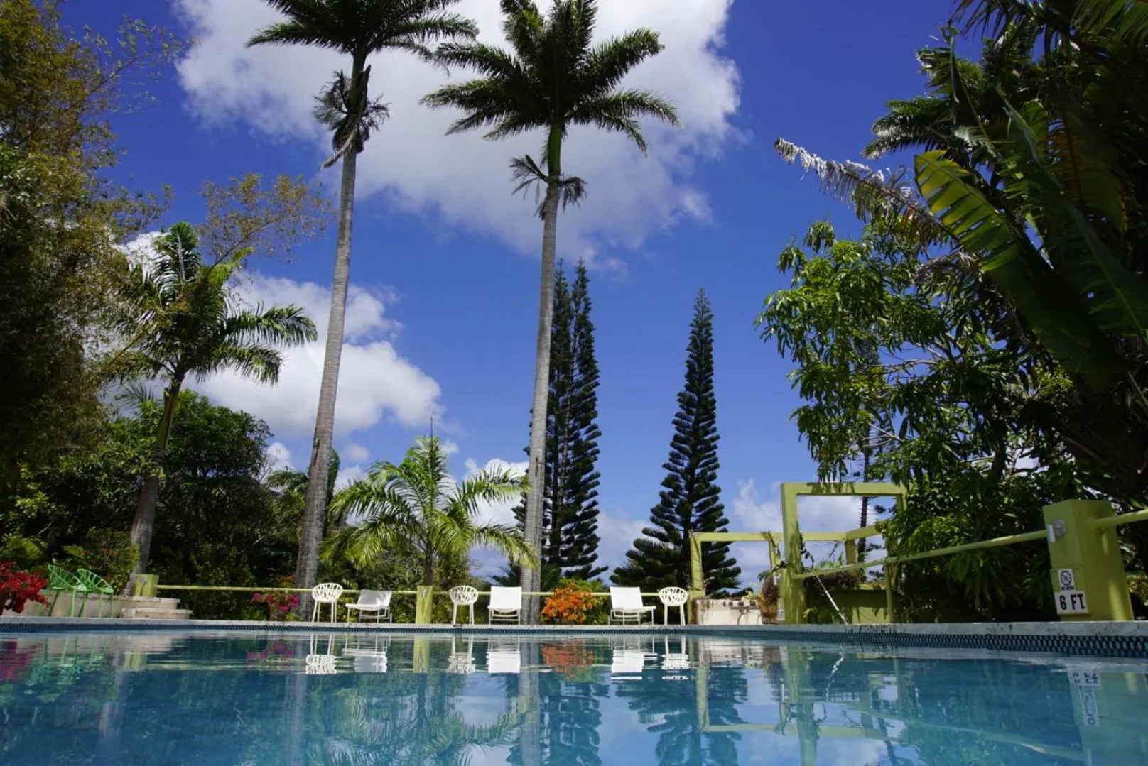 Swimming pool in Golden Rock Nevis