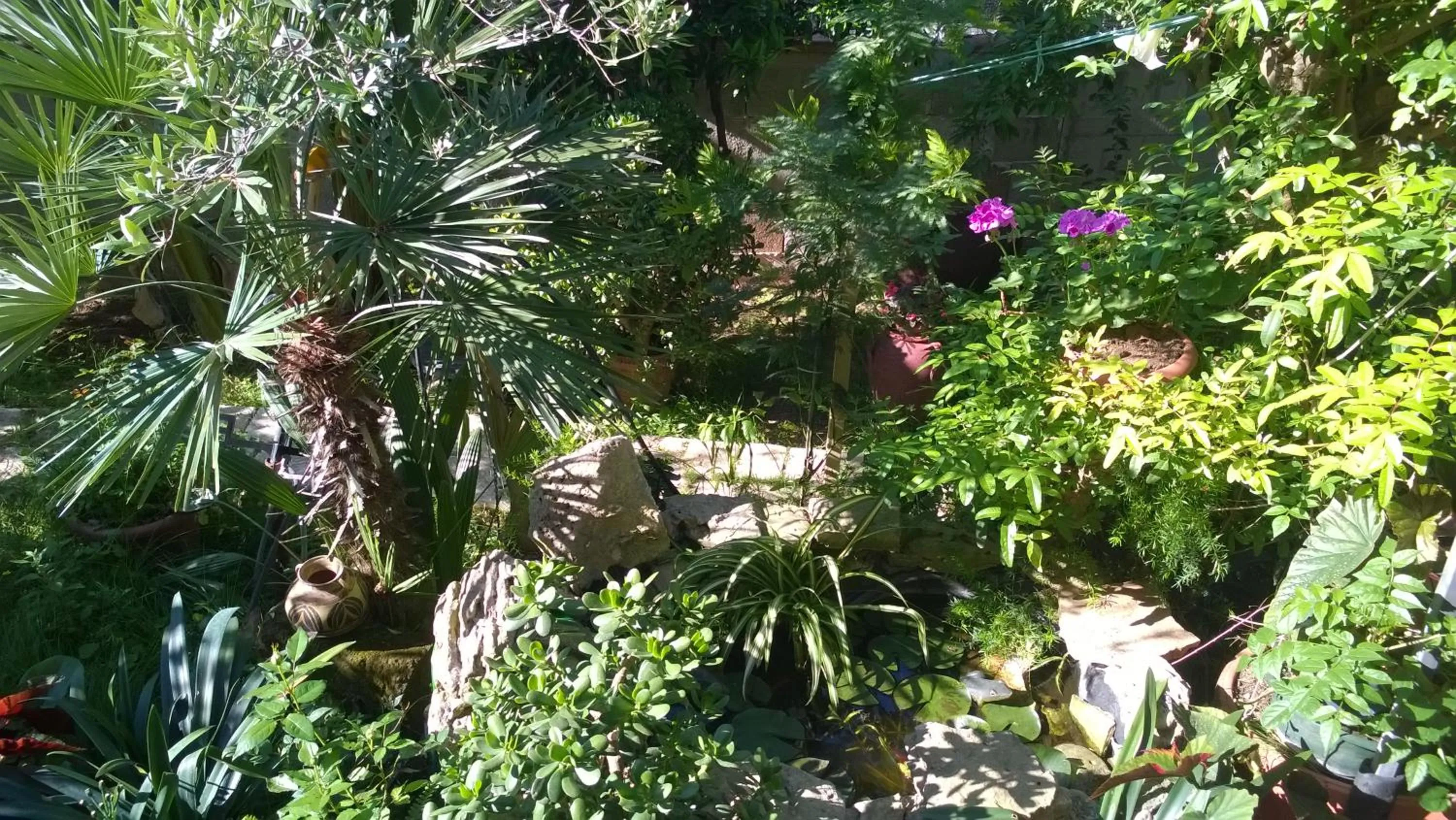 Garden in B&B Mare E Sole