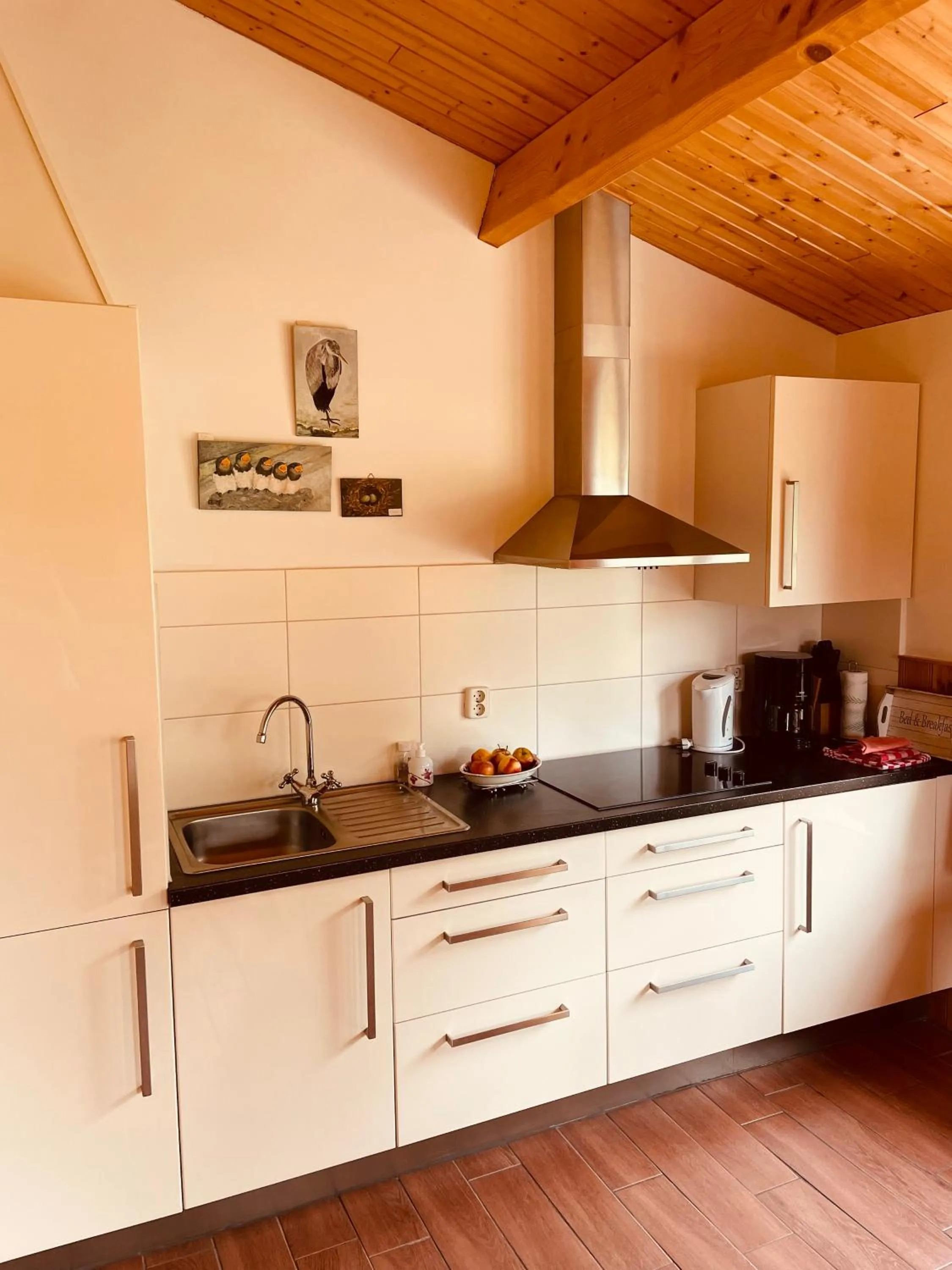 Kitchen or kitchenette in Erve Dikkeboer