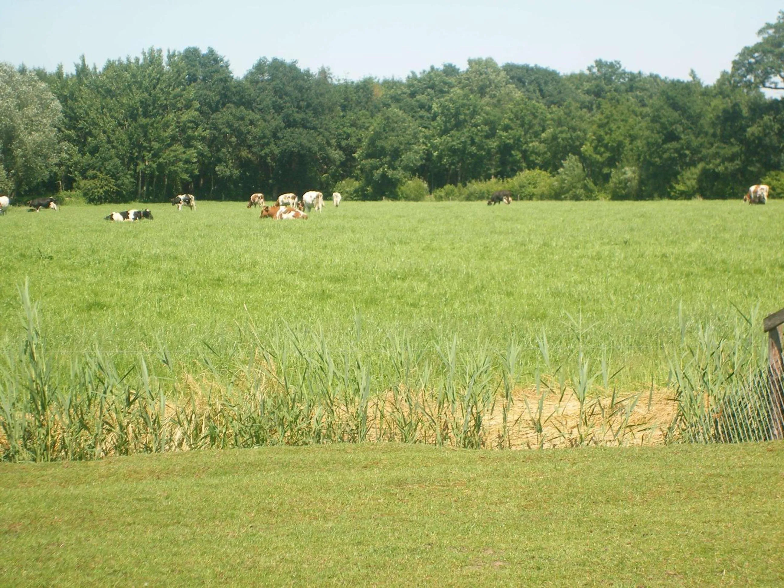 Area and facilities in Erve Dikkeboer