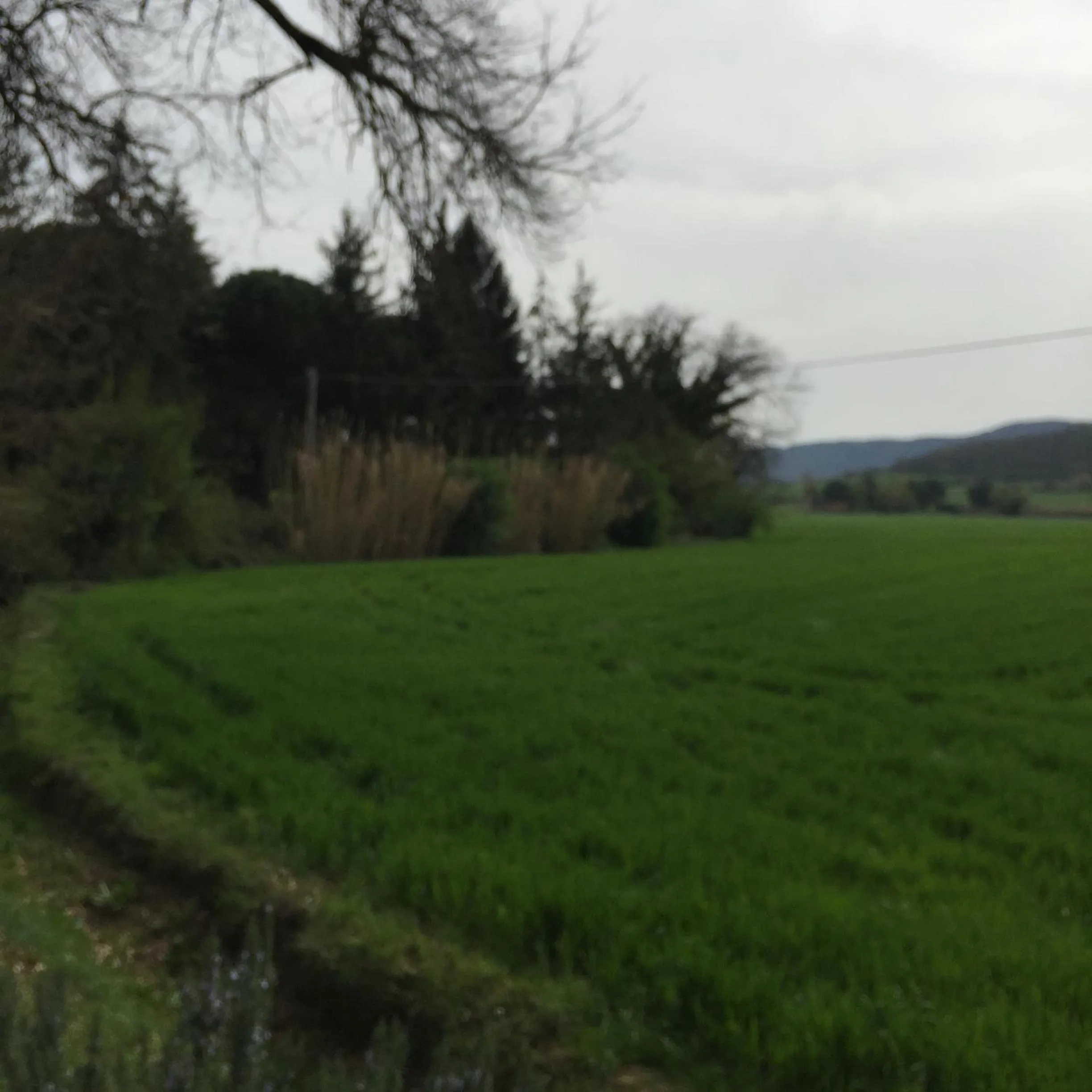 Garden view in Azienda Agrituristica I Tre Casali