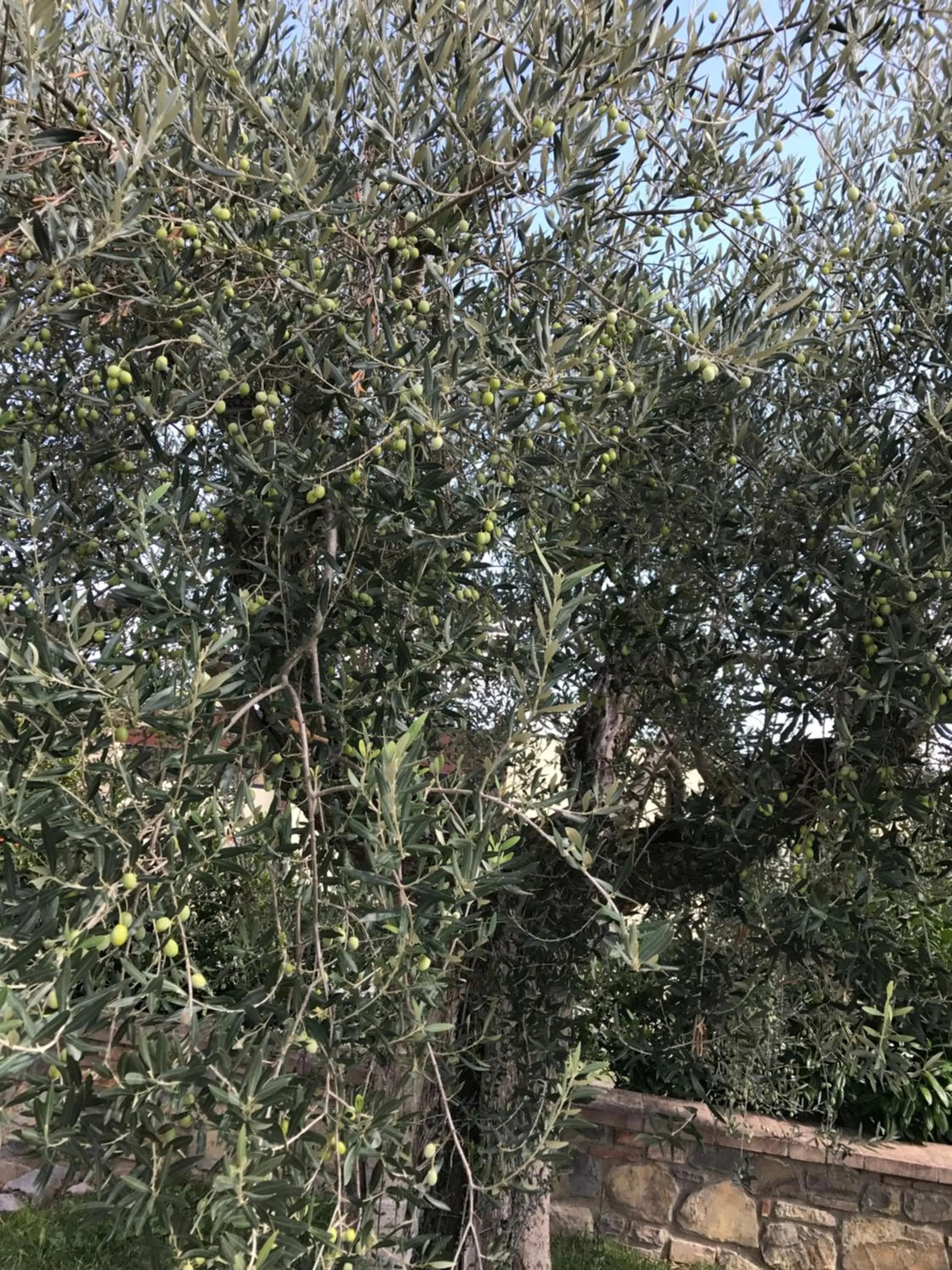 Seasons in Azienda Agrituristica I Tre Casali