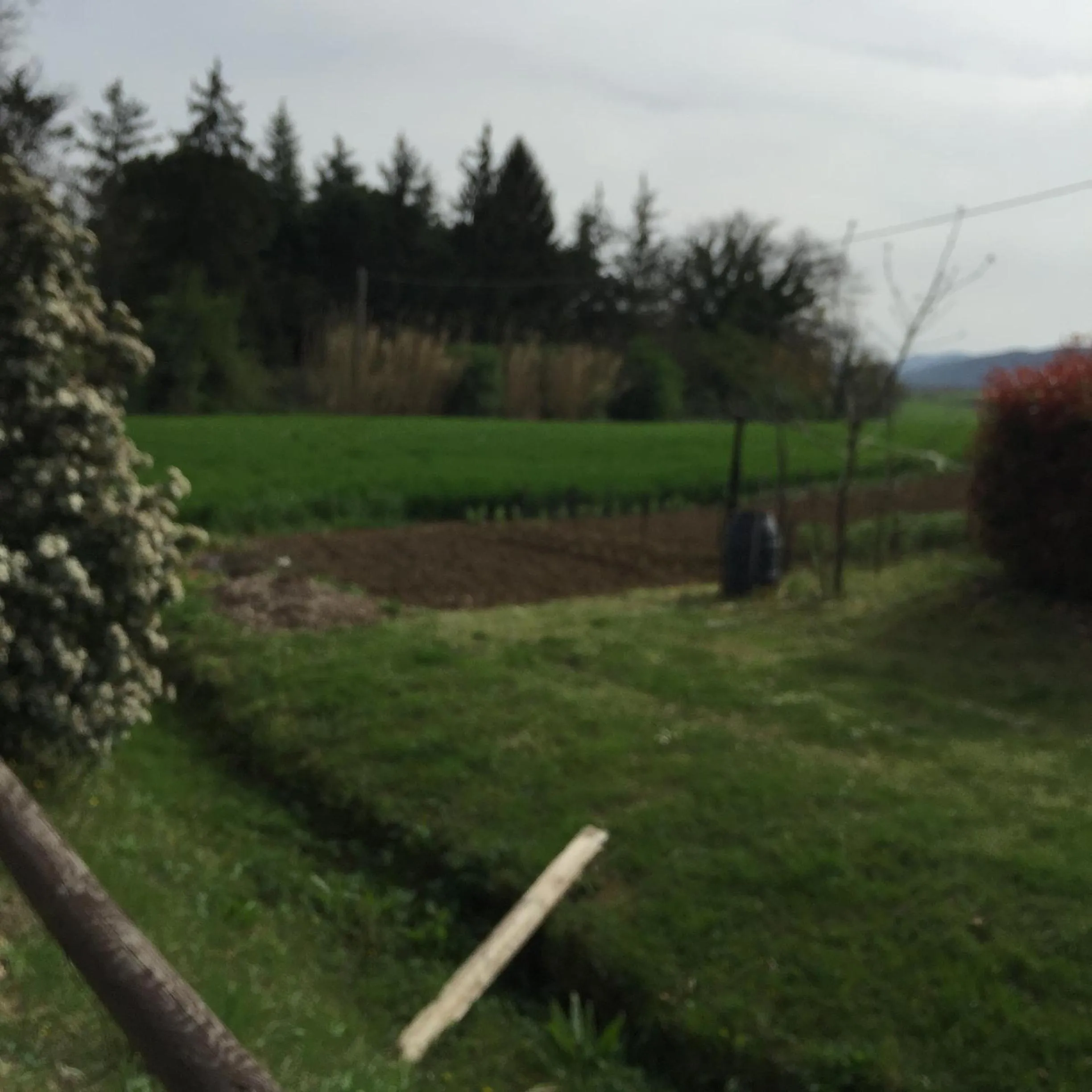 View (from property/room) in Azienda Agrituristica I Tre Casali