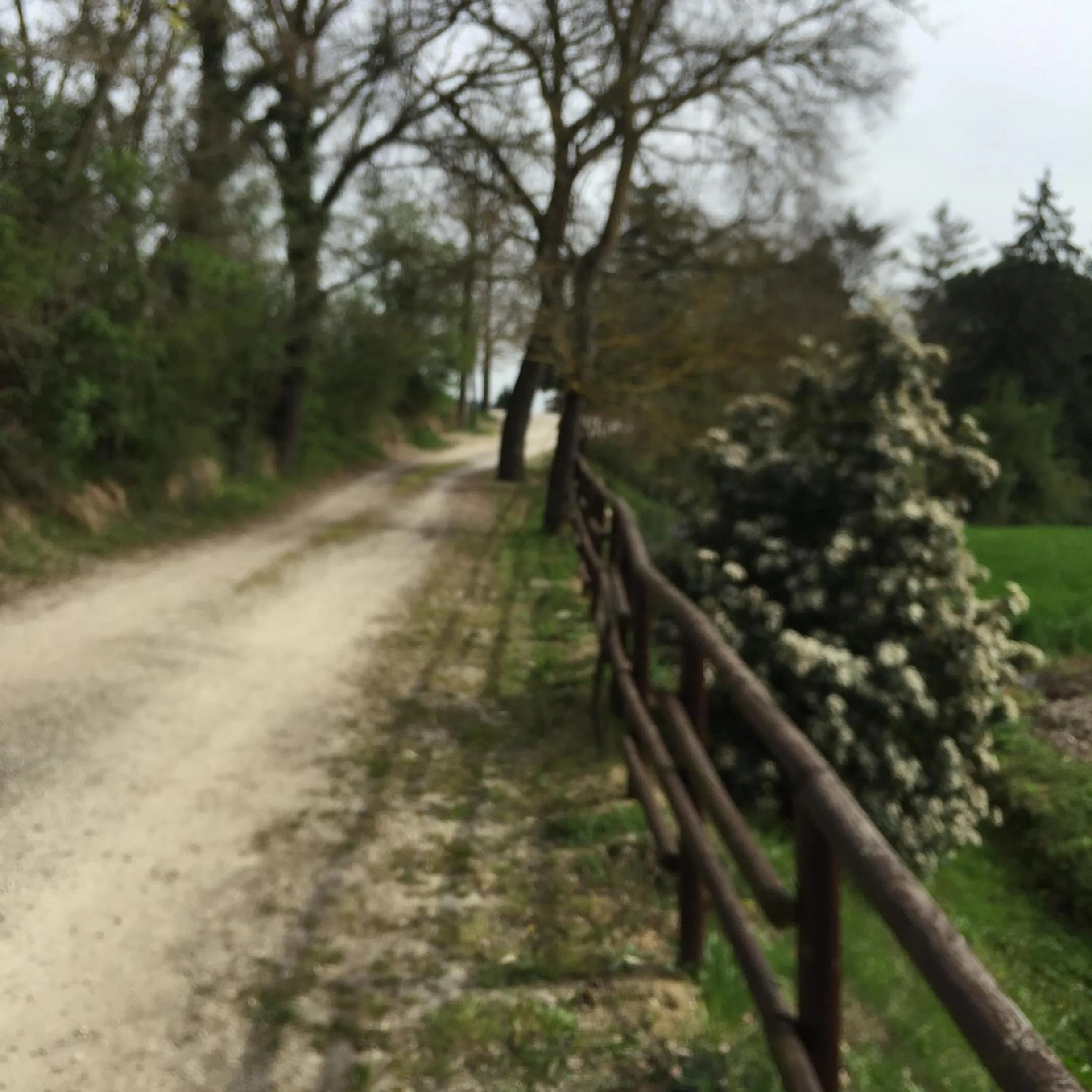 Natural landscape in Azienda Agrituristica I Tre Casali