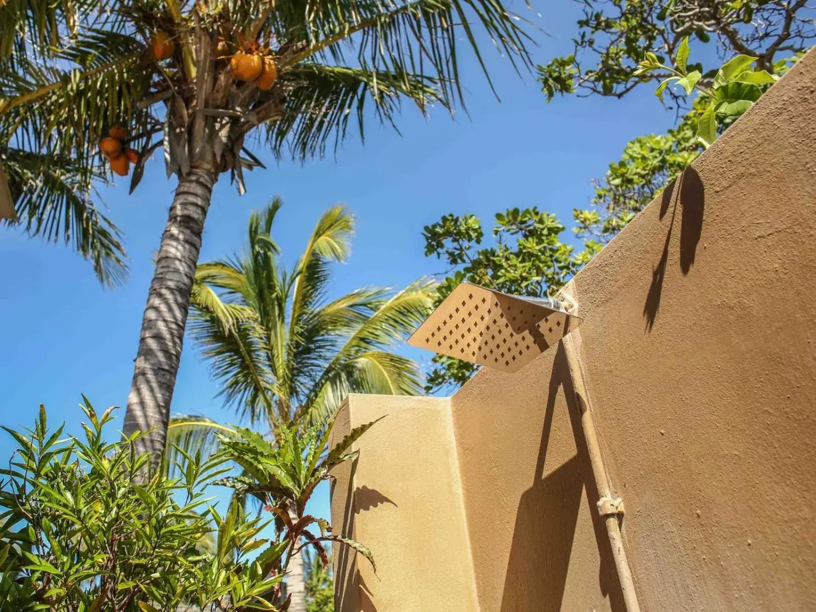 Bungalow with Garden View - single occupancy in Mozambeat Motel Bungalow with Garden View - single occupancy in Mozambeat Motel