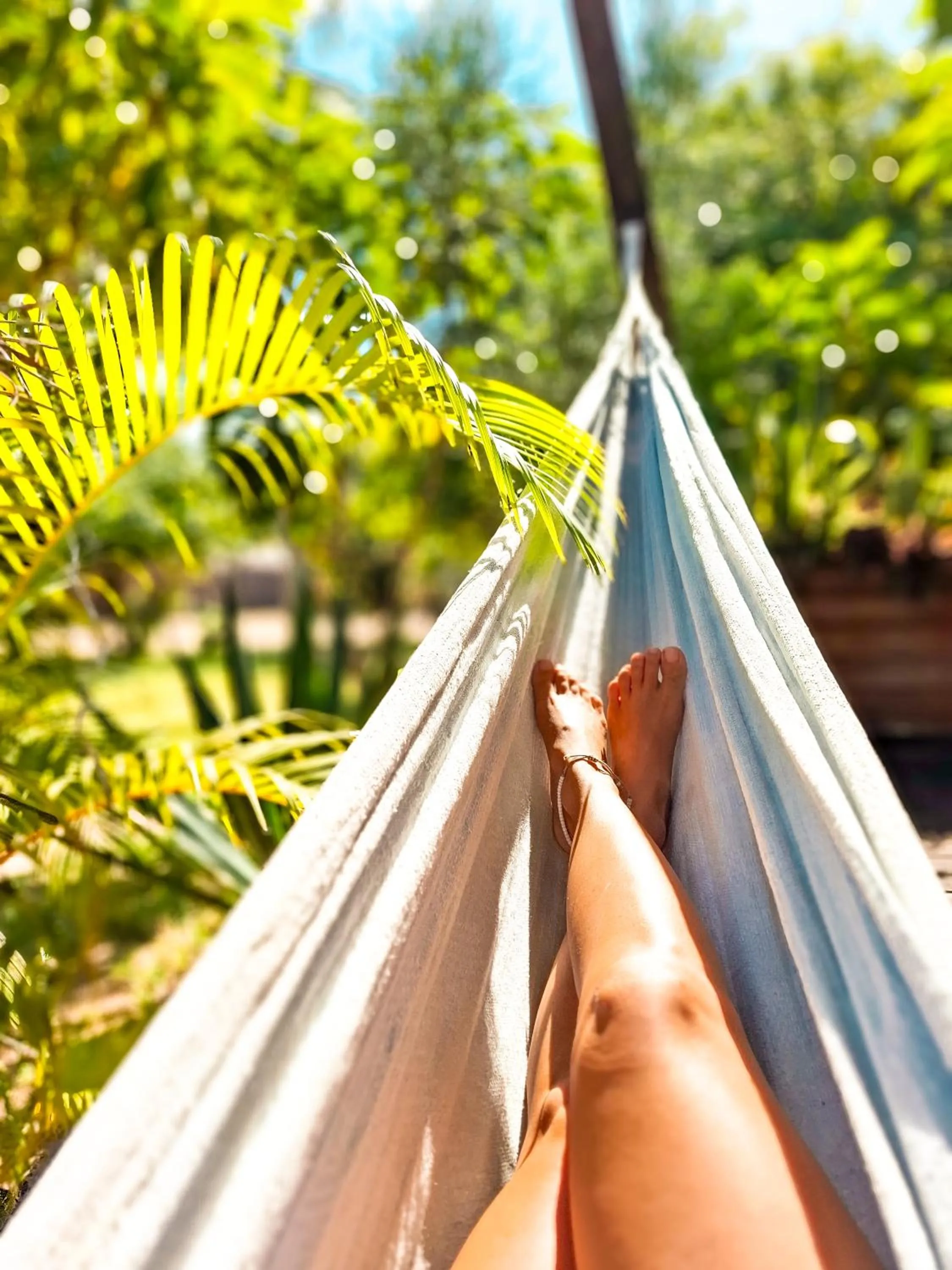 Garden view in Mozambeat Motel