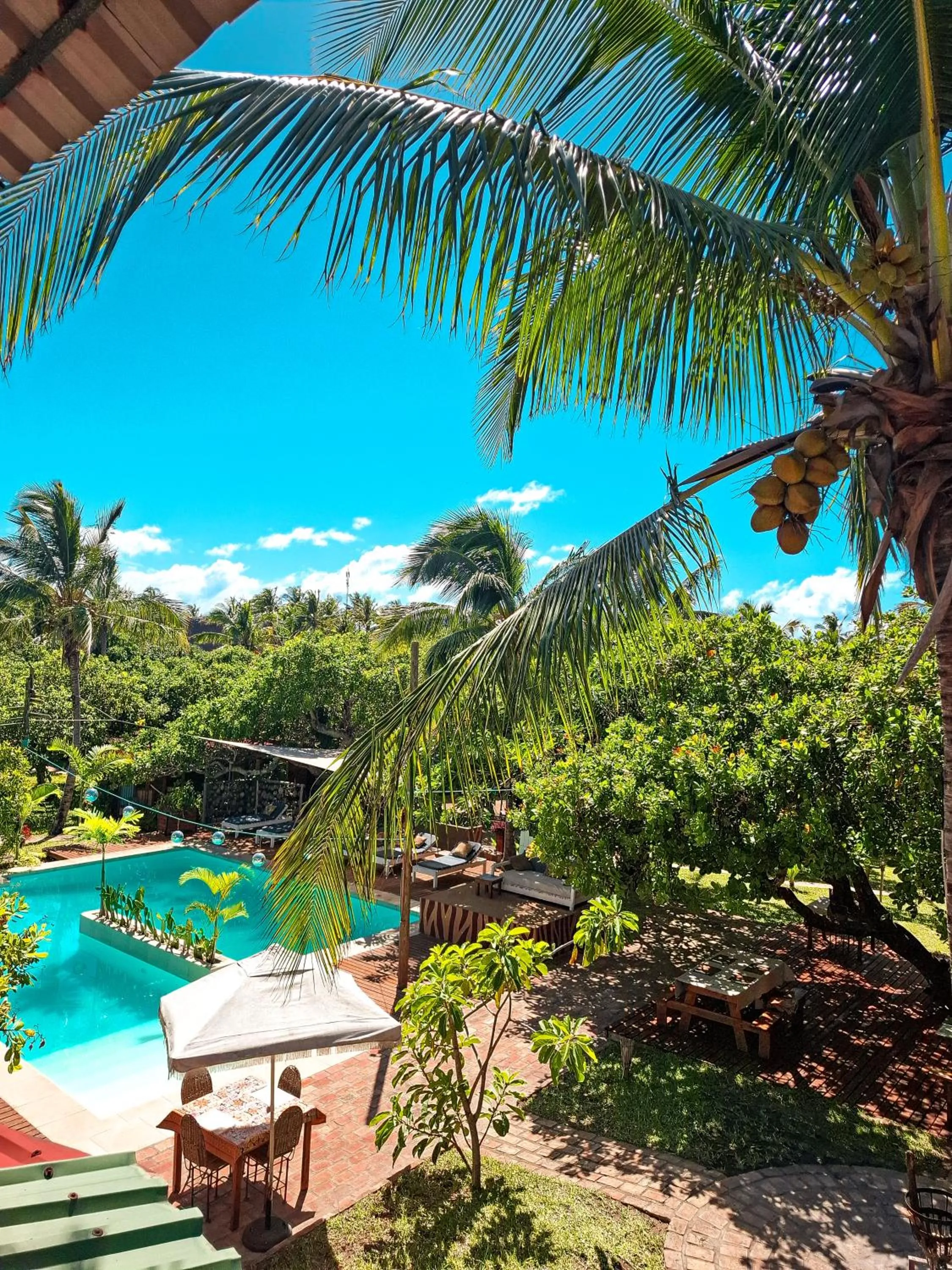 Garden in Mozambeat Motel