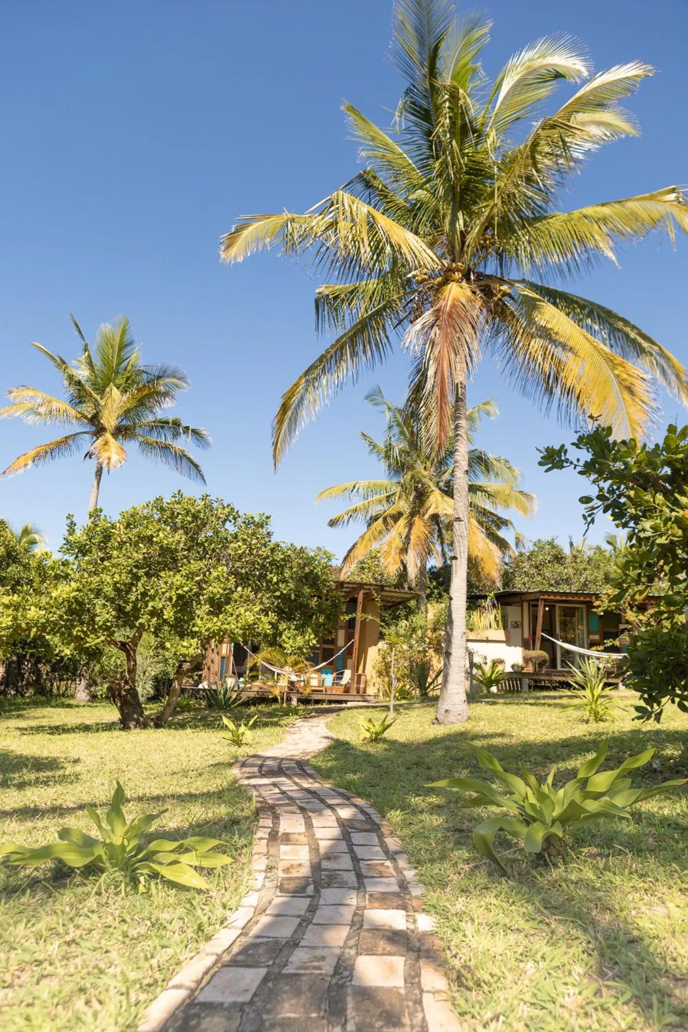 Natural landscape in Mozambeat Motel
