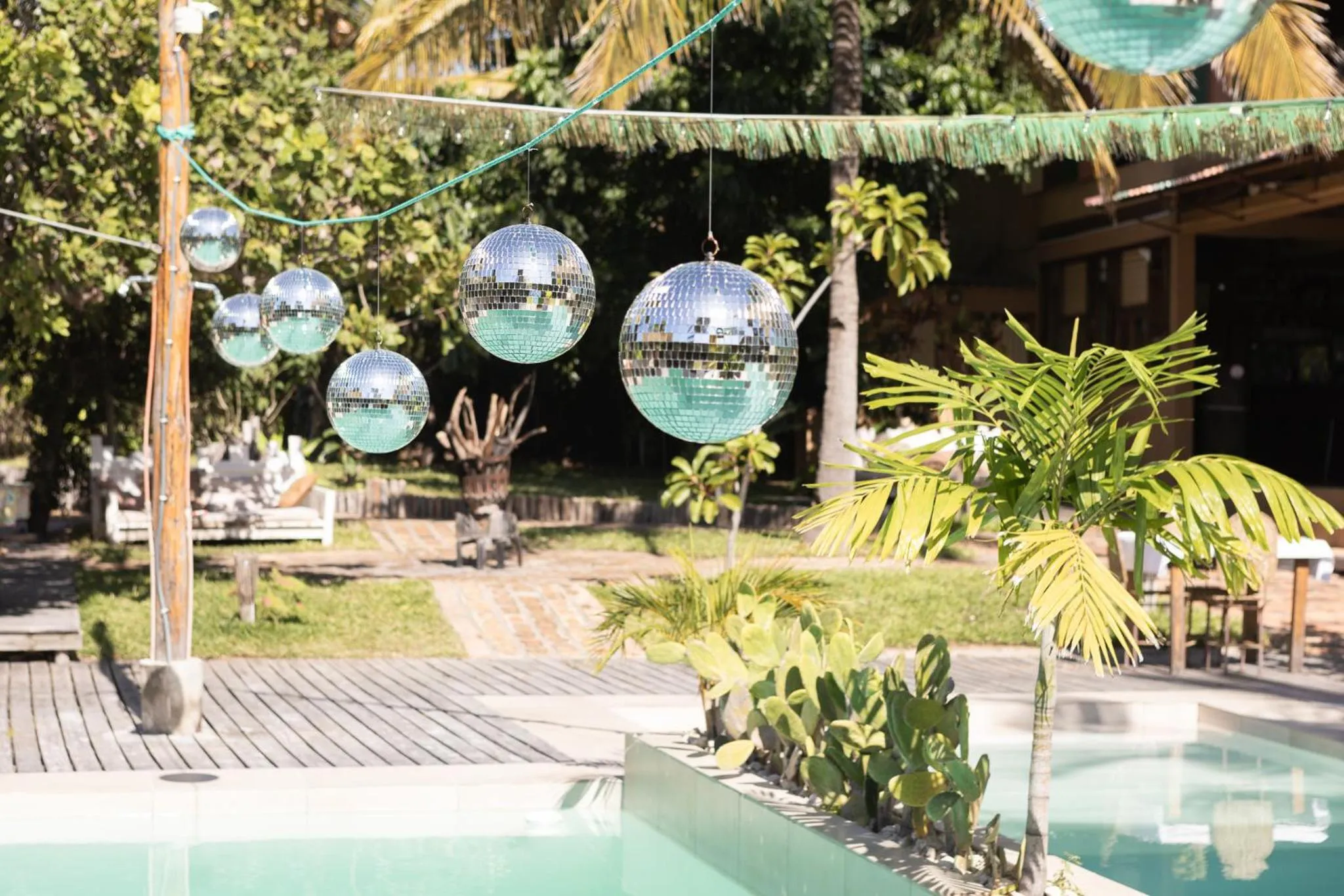 Garden in Mozambeat Motel