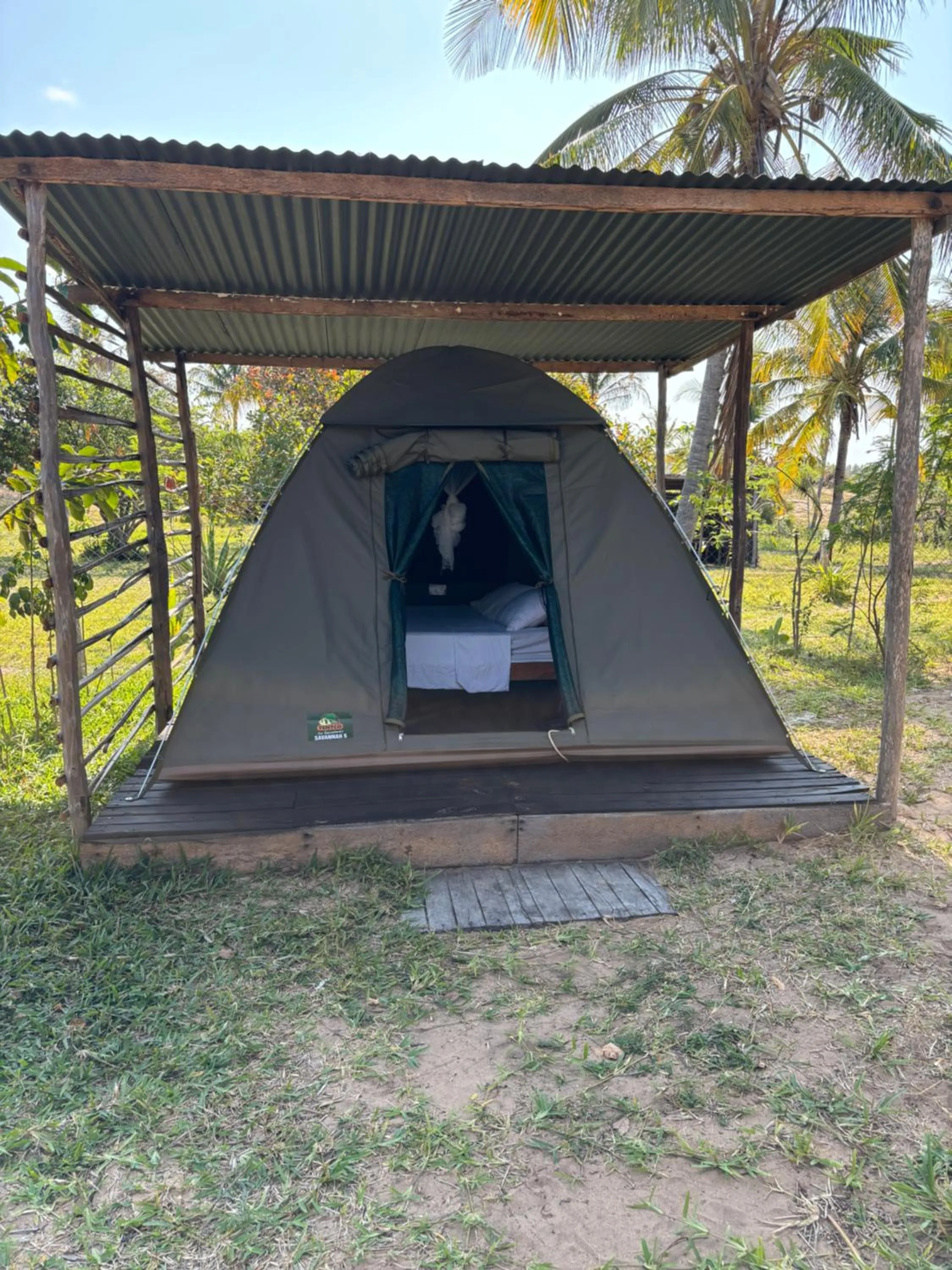 Garden view in Mozambeat Motel