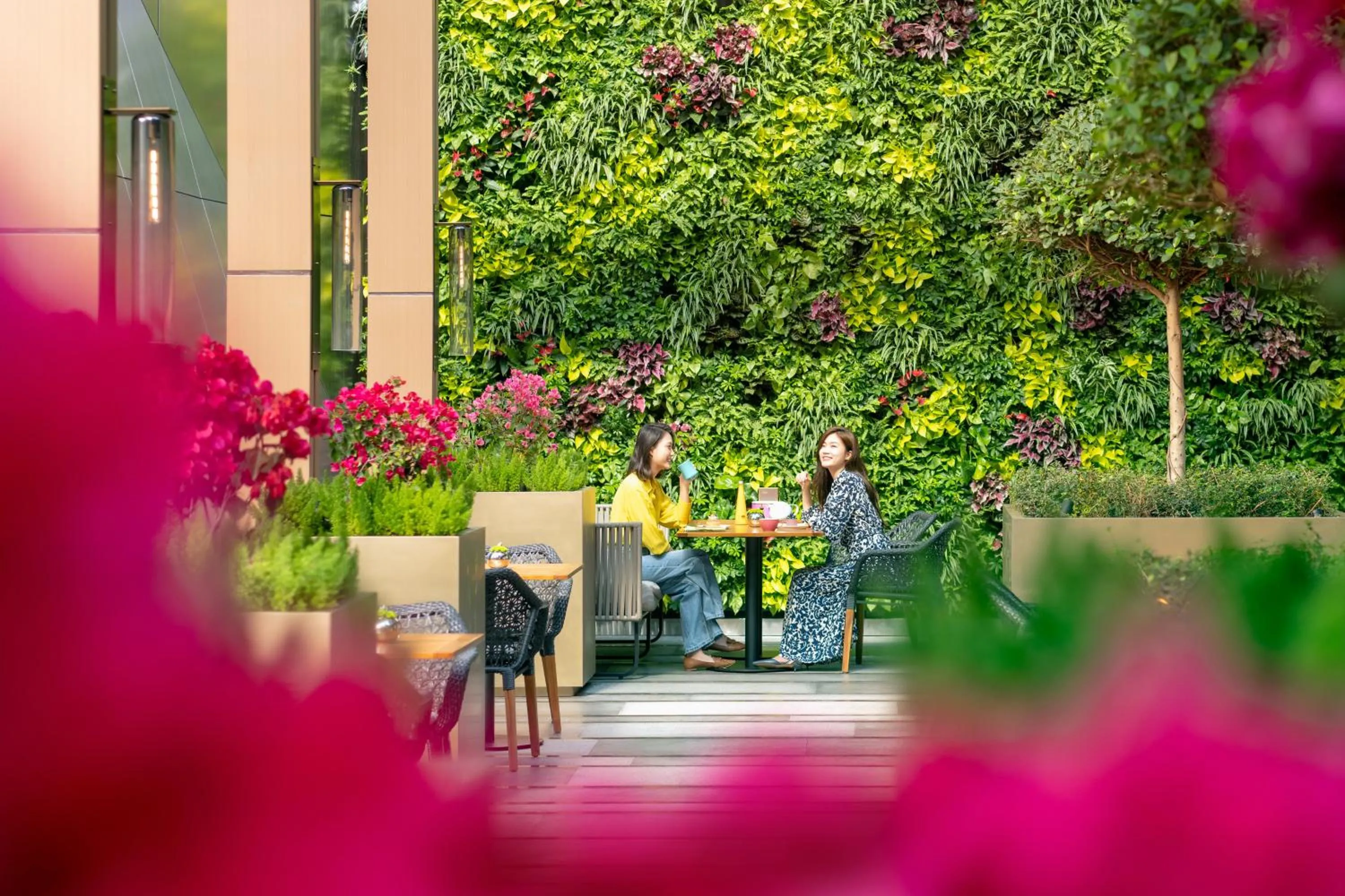 Restaurant/places to eat in Mandarin Oriental, Shenzhen