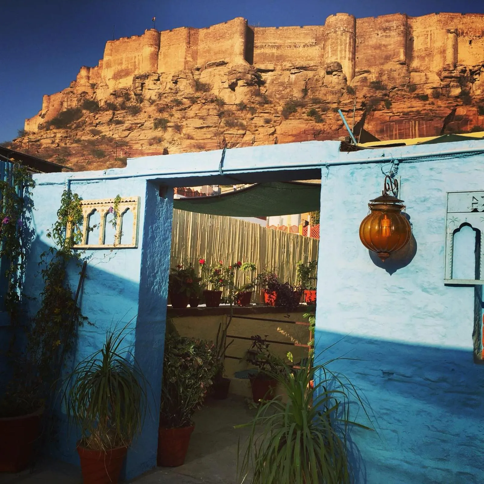 Restaurant/places to eat in Kings Retreat Jodhpur
