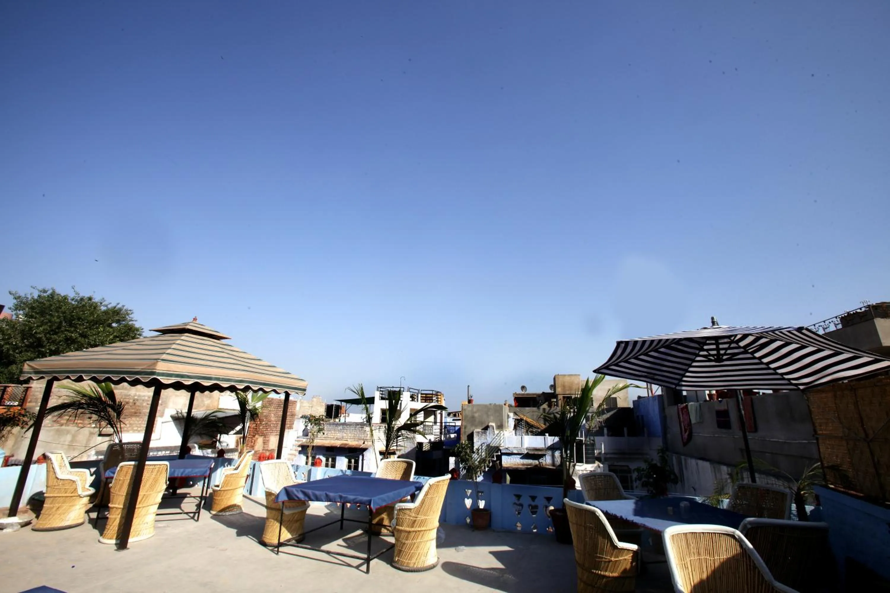 Restaurant/places to eat in Kings Retreat Jodhpur