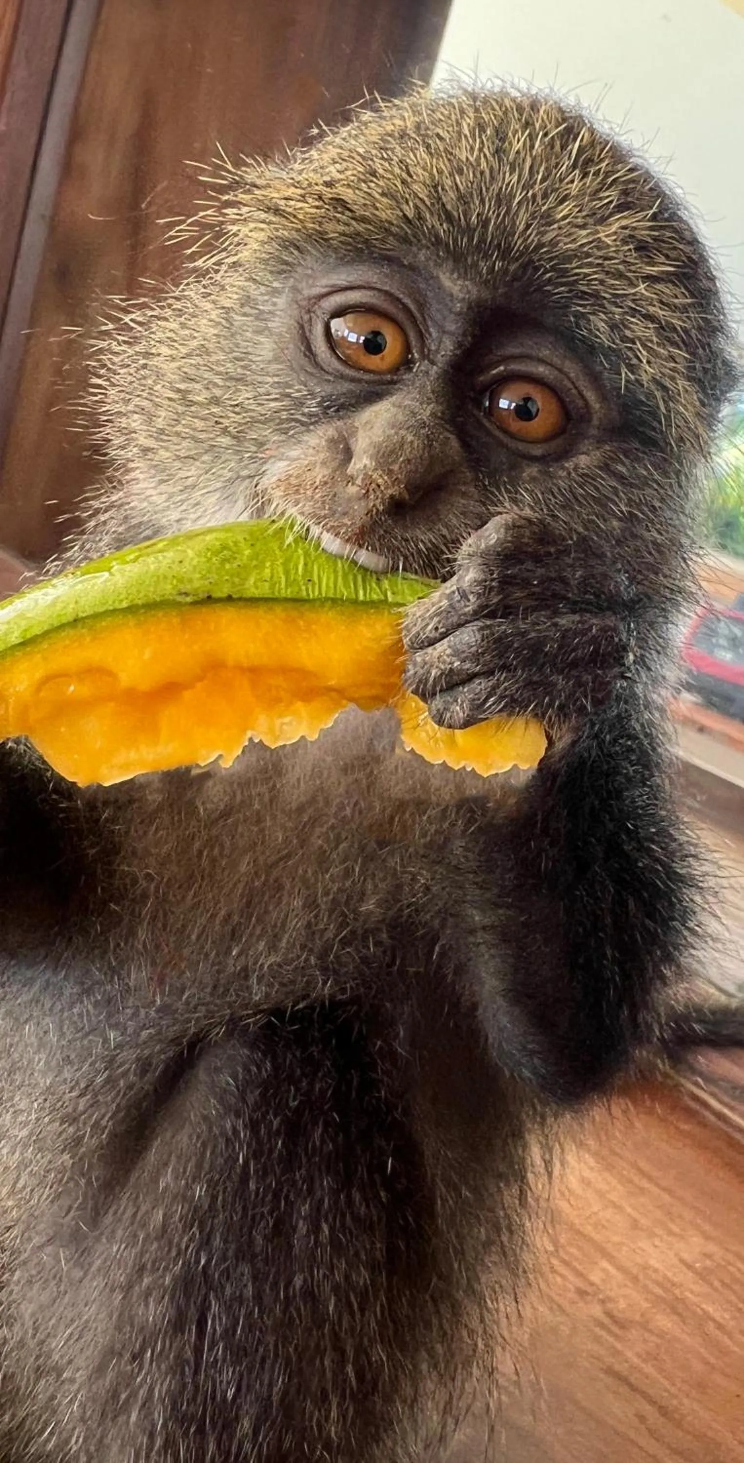 Natural landscape in Karibu Beach Resort