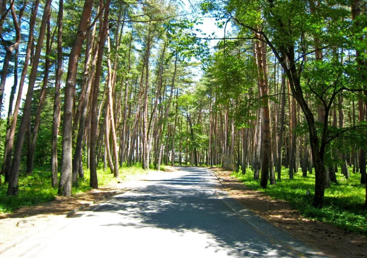 Natural landscape in Yatsugatake Hotel Fuuka