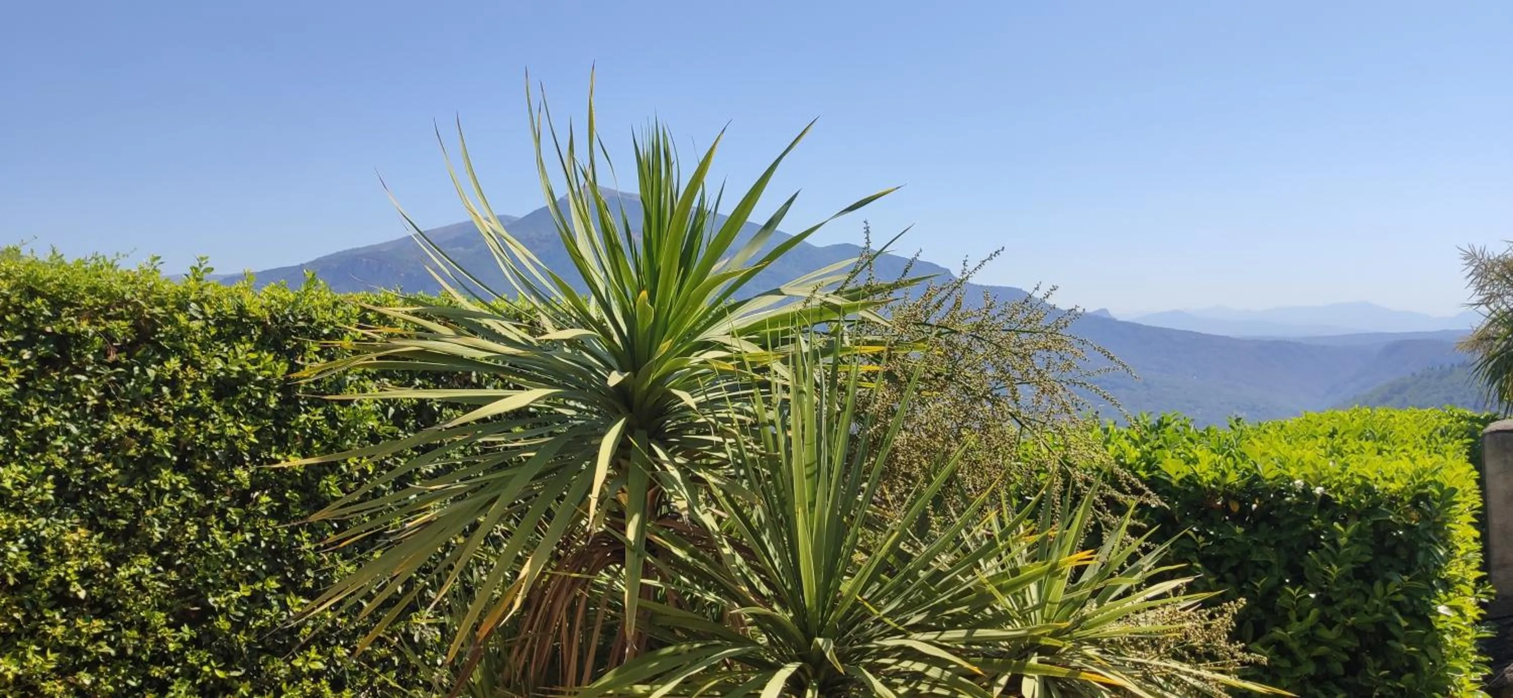 Nearby landmark in Loup Castel Boutique Hotel B&B