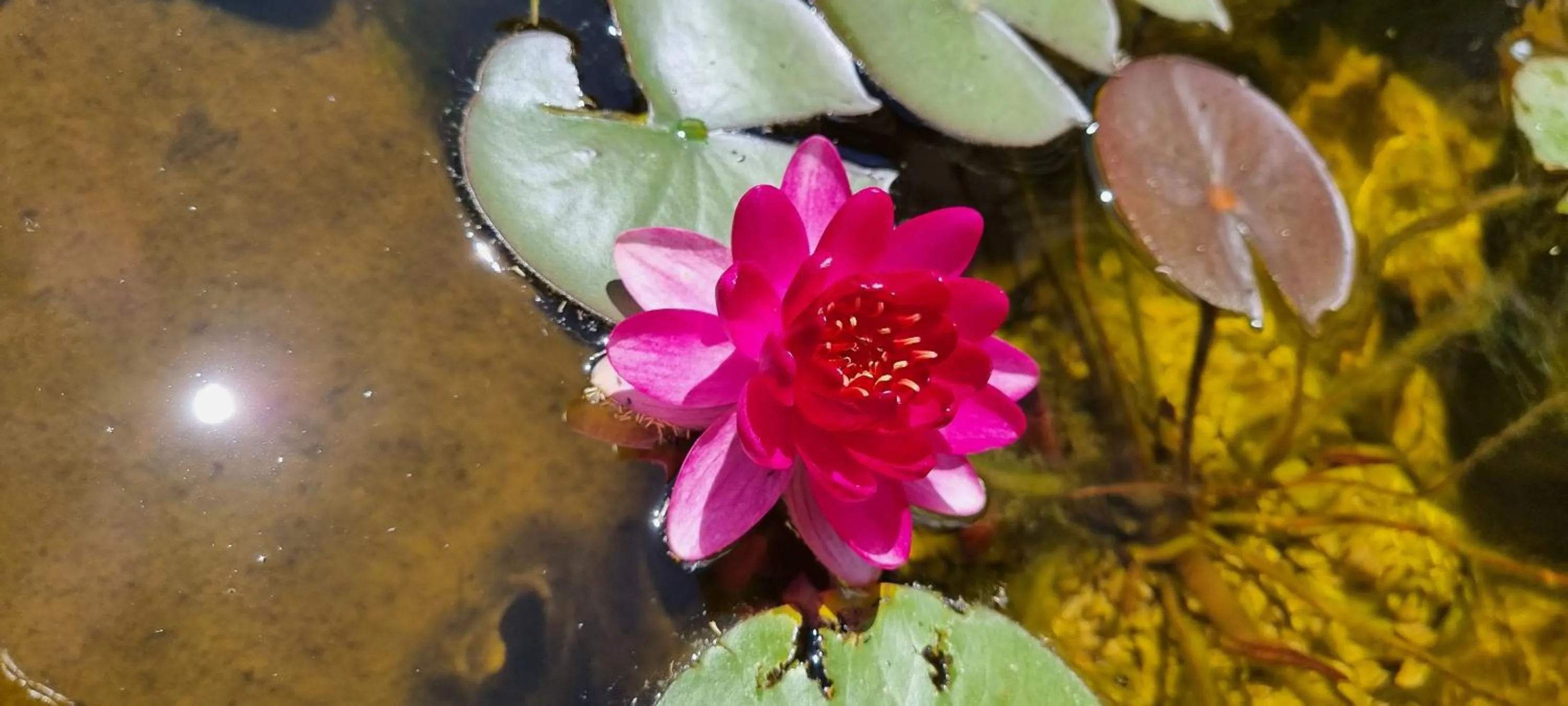 Spring in Loup Castel Boutique Hotel B&B