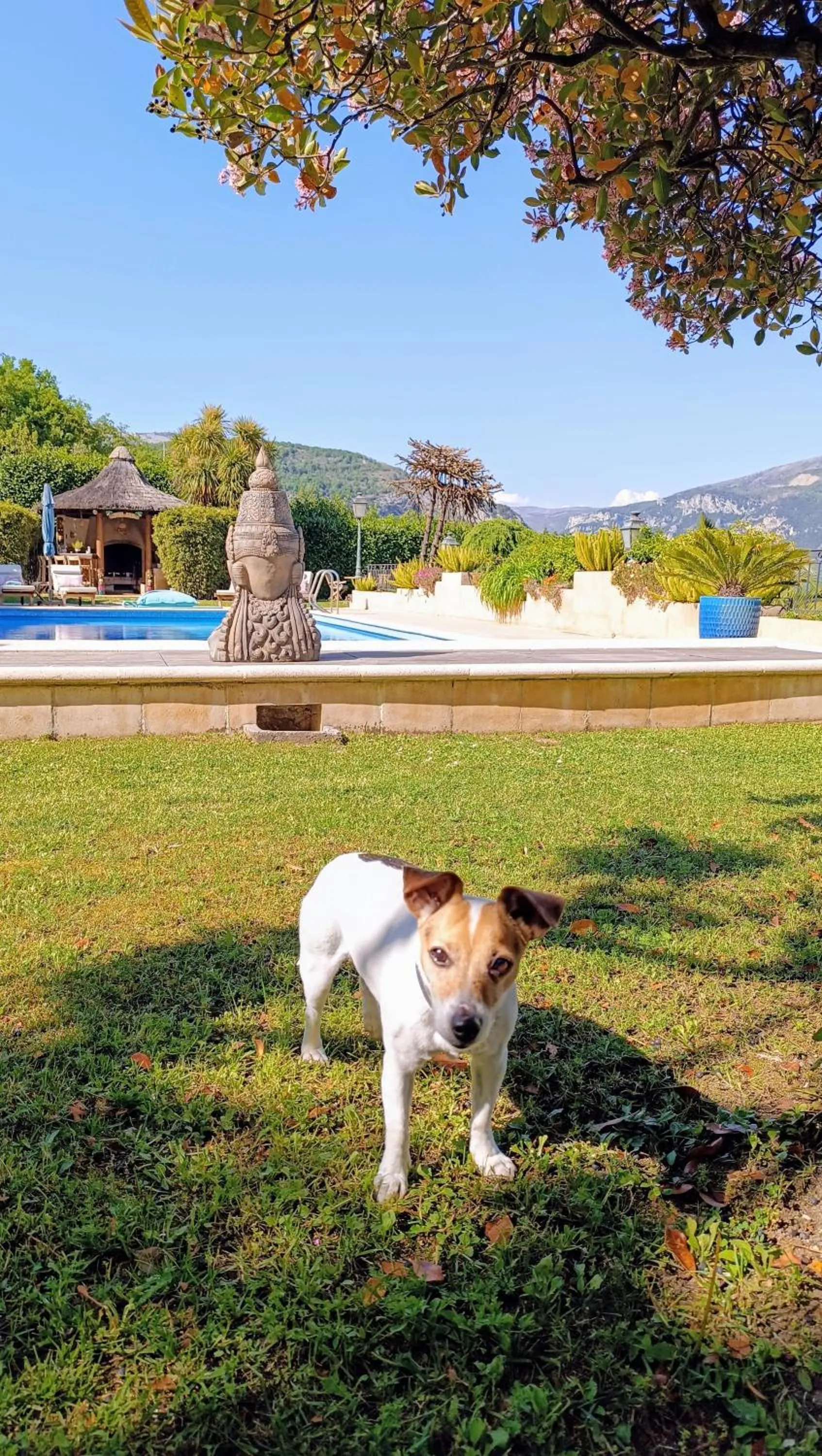 Garden in Loup Castel Boutique Hotel B&B