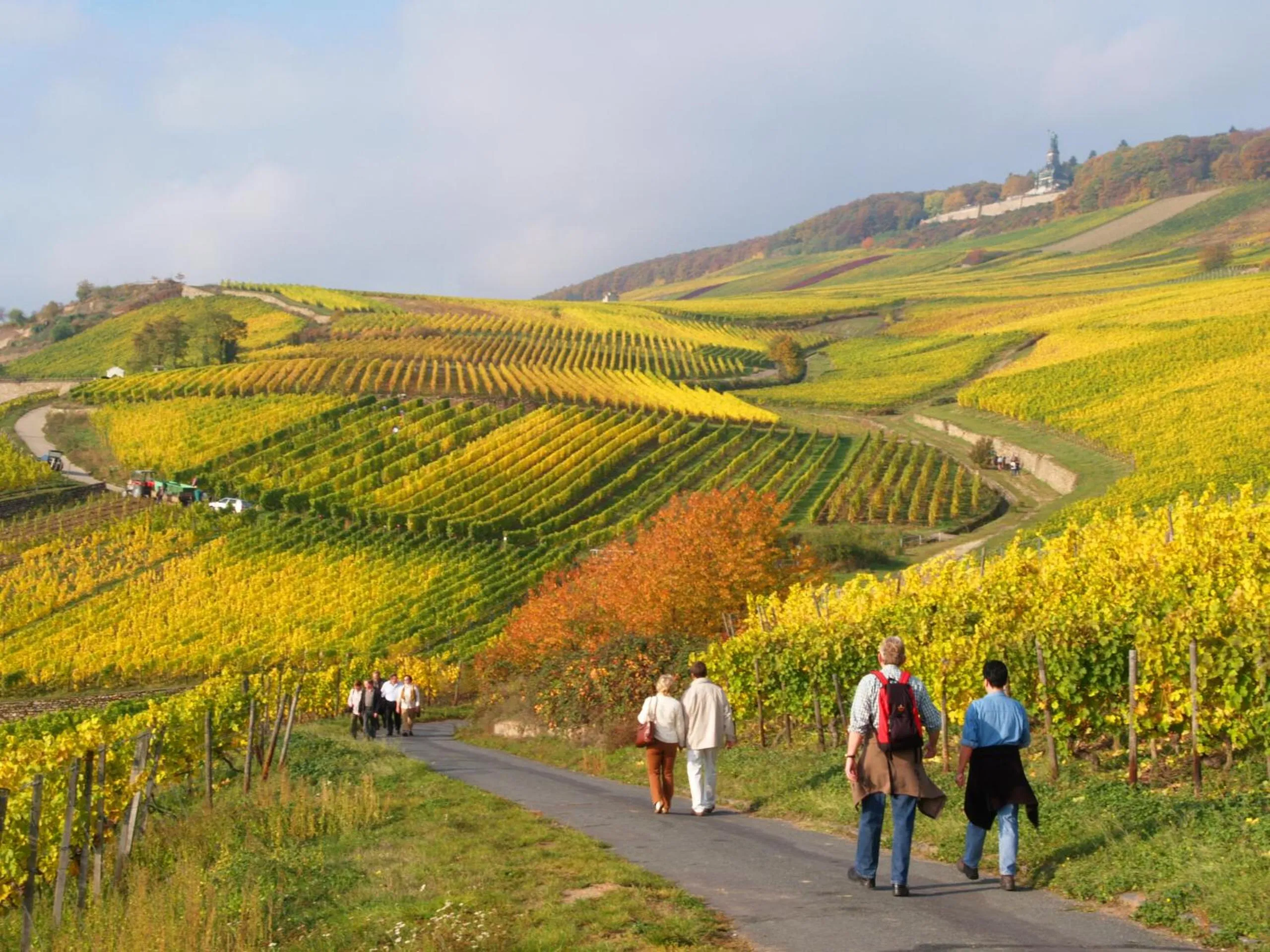 Natural landscape in Weinhotel des Riesling Zum Grünen Kranz