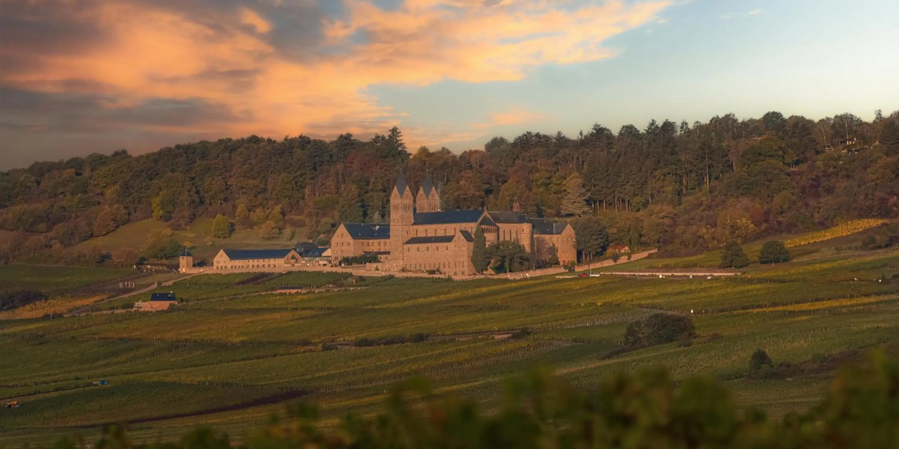 Nearby landmark in Weinhotel des Riesling Zum Grünen Kranz