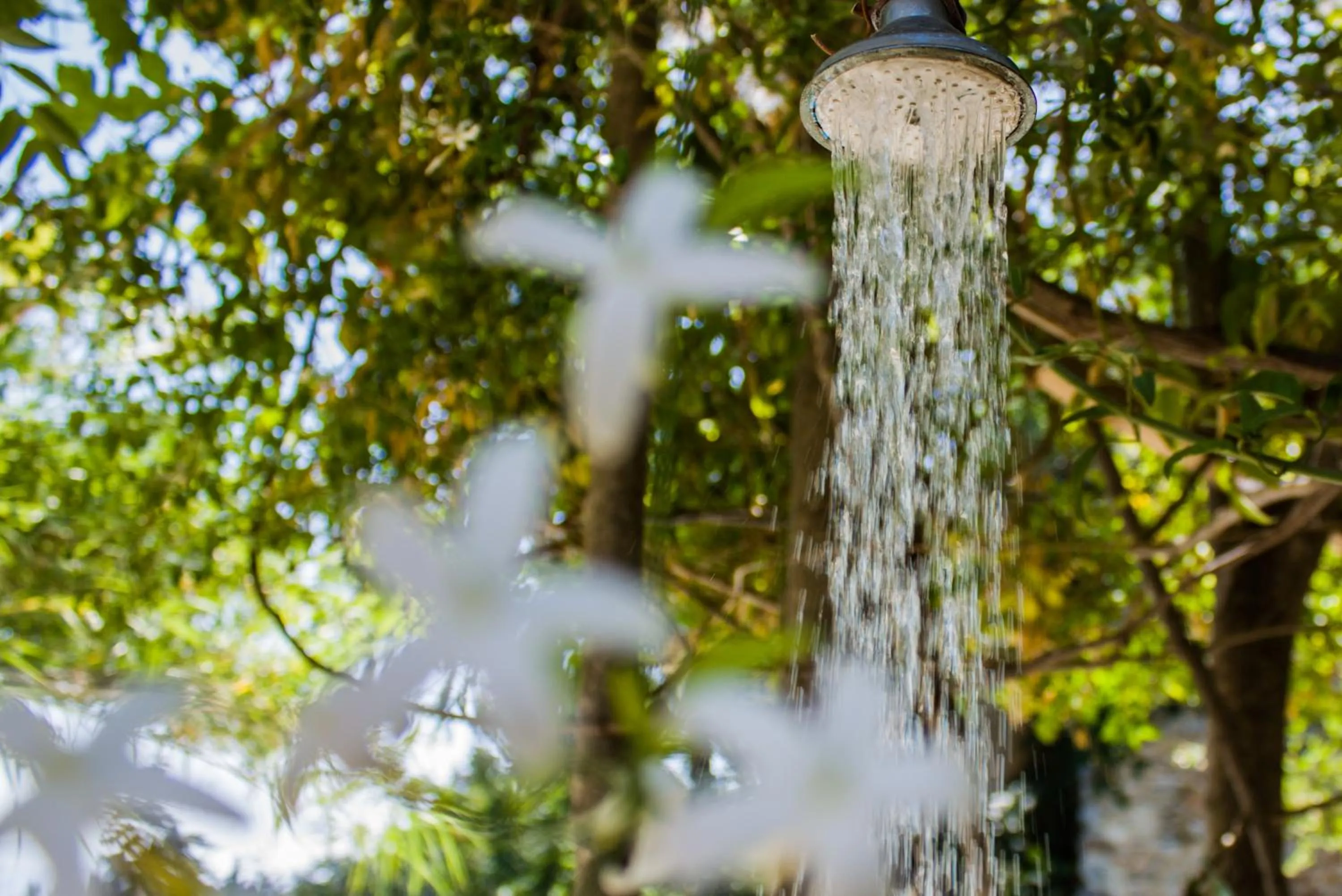 Day in Malaxiana Houses