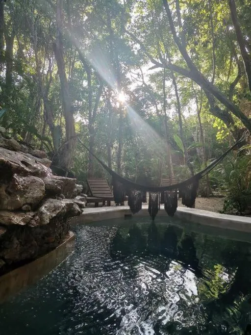 Agua & Selva luxury Jungle loft