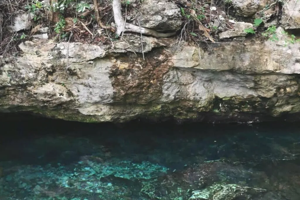 Agua & Selva luxury Jungle loft