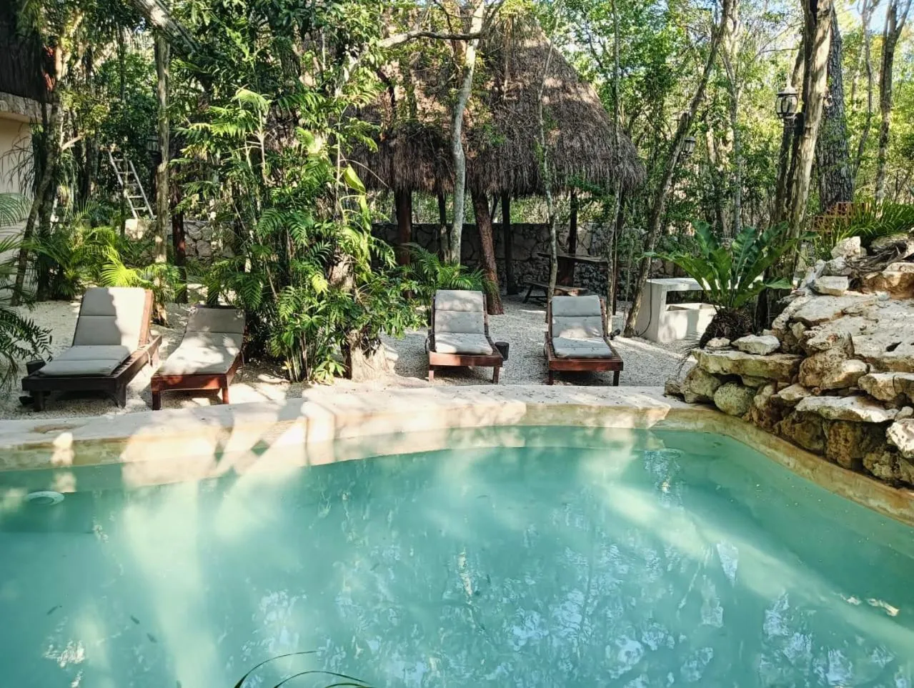 Agua & Selva luxury Jungle loft