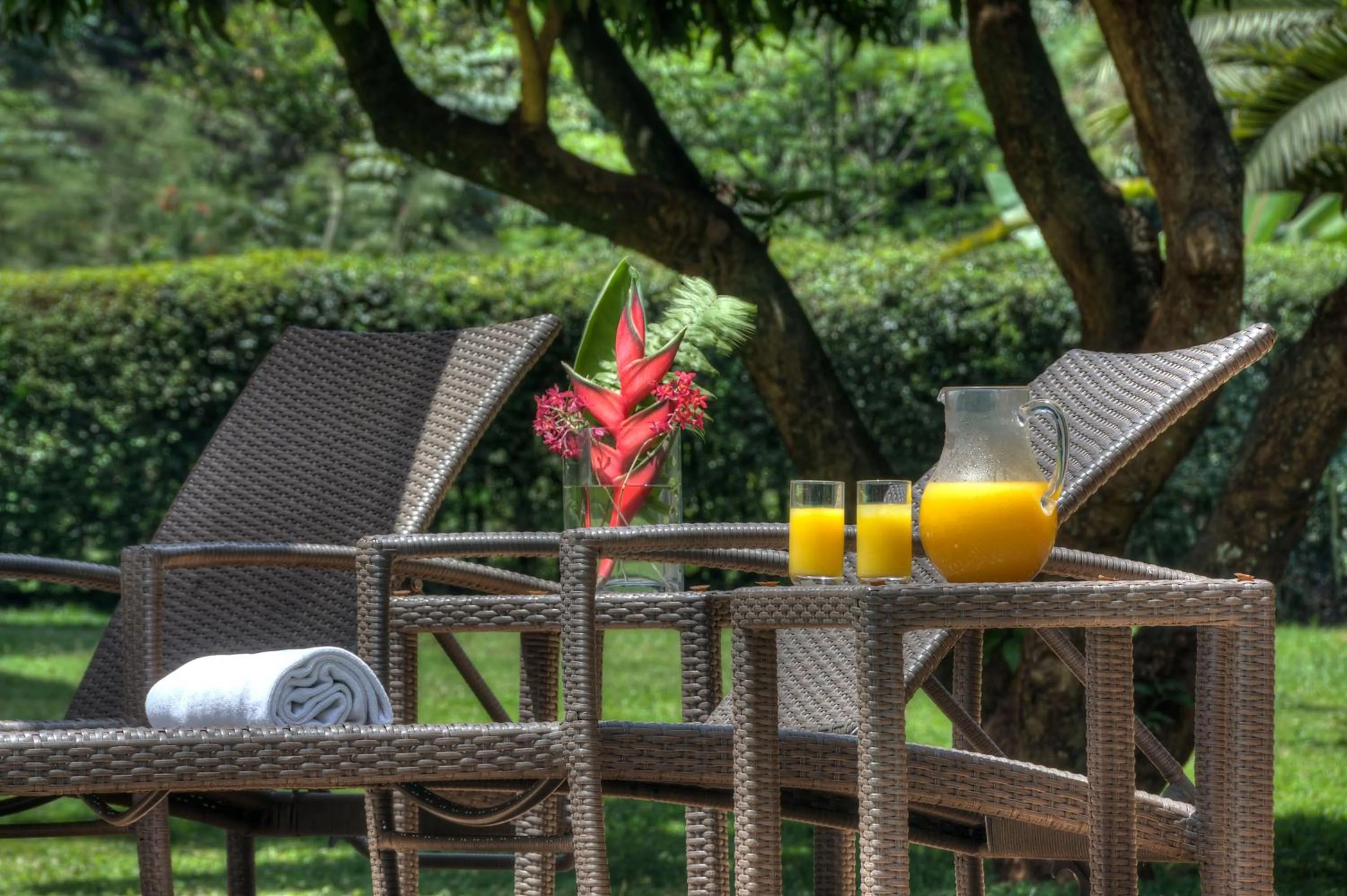 Garden view in Heri Heights Hotel Apartments, SureStay Collection by Best Western