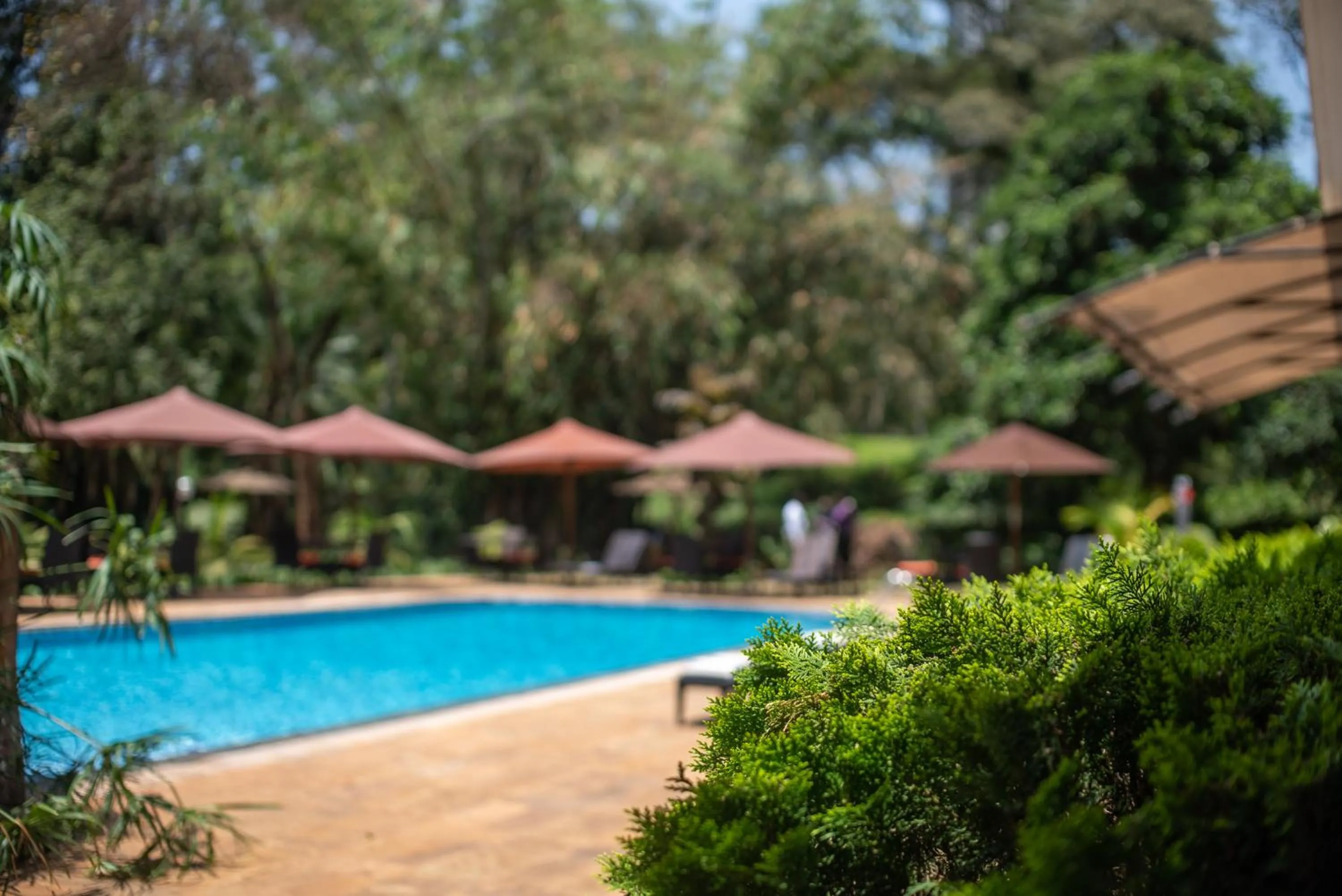 Pool view in Heri Heights Hotel Apartments, SureStay Collection by Best Western