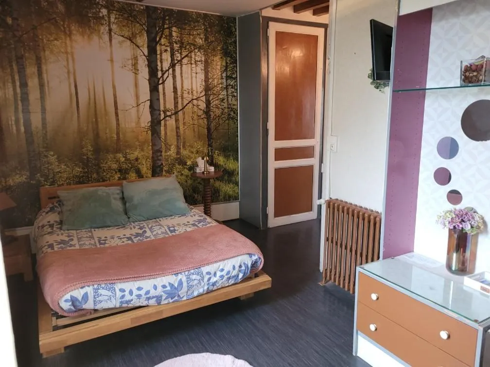 Superior Double Room in Domaine de la belle Normandie